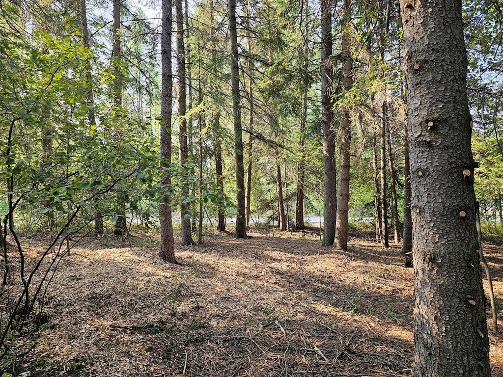 249 Pine Valley Loop Property Photo 6