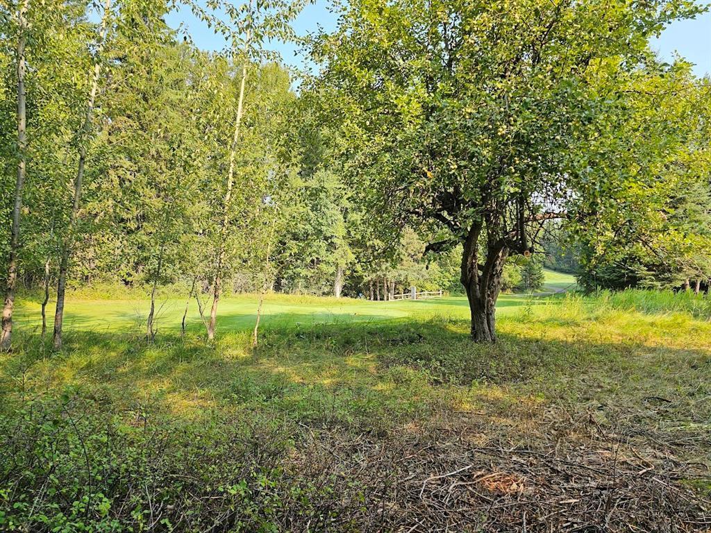 249 Pine Valley Loop Property Photo 8