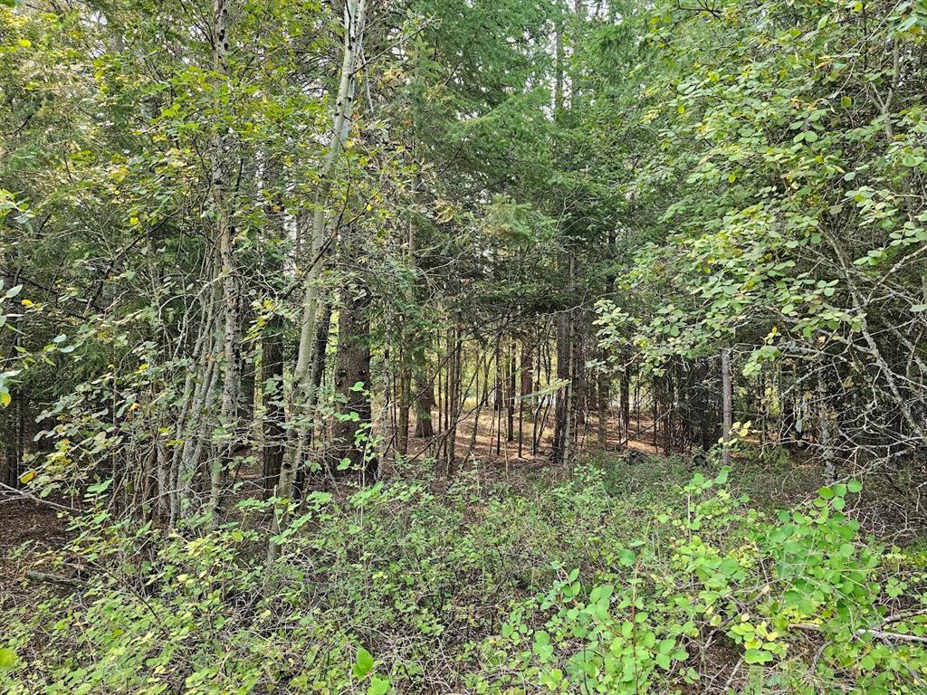 249 Pine Valley Loop Property Photo 9