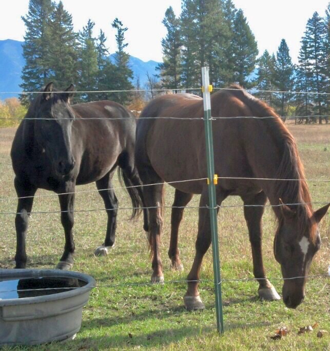 70 & 66 Our Way Property Photo 99