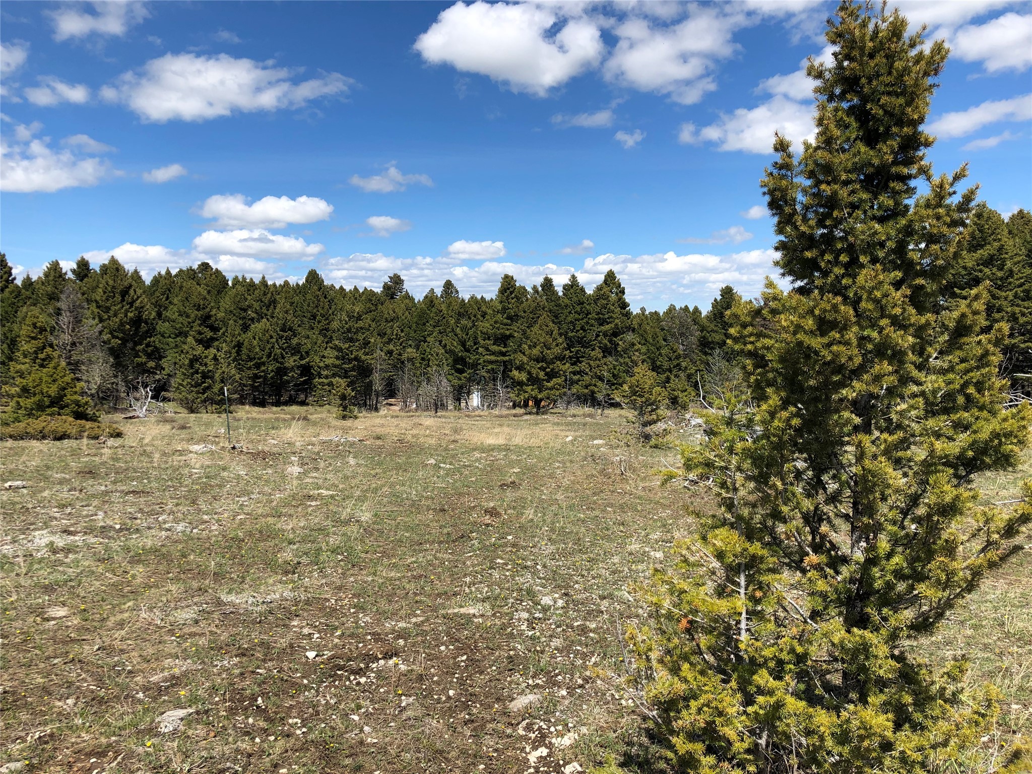 Tbd Arrowood Estates Road Property Photo