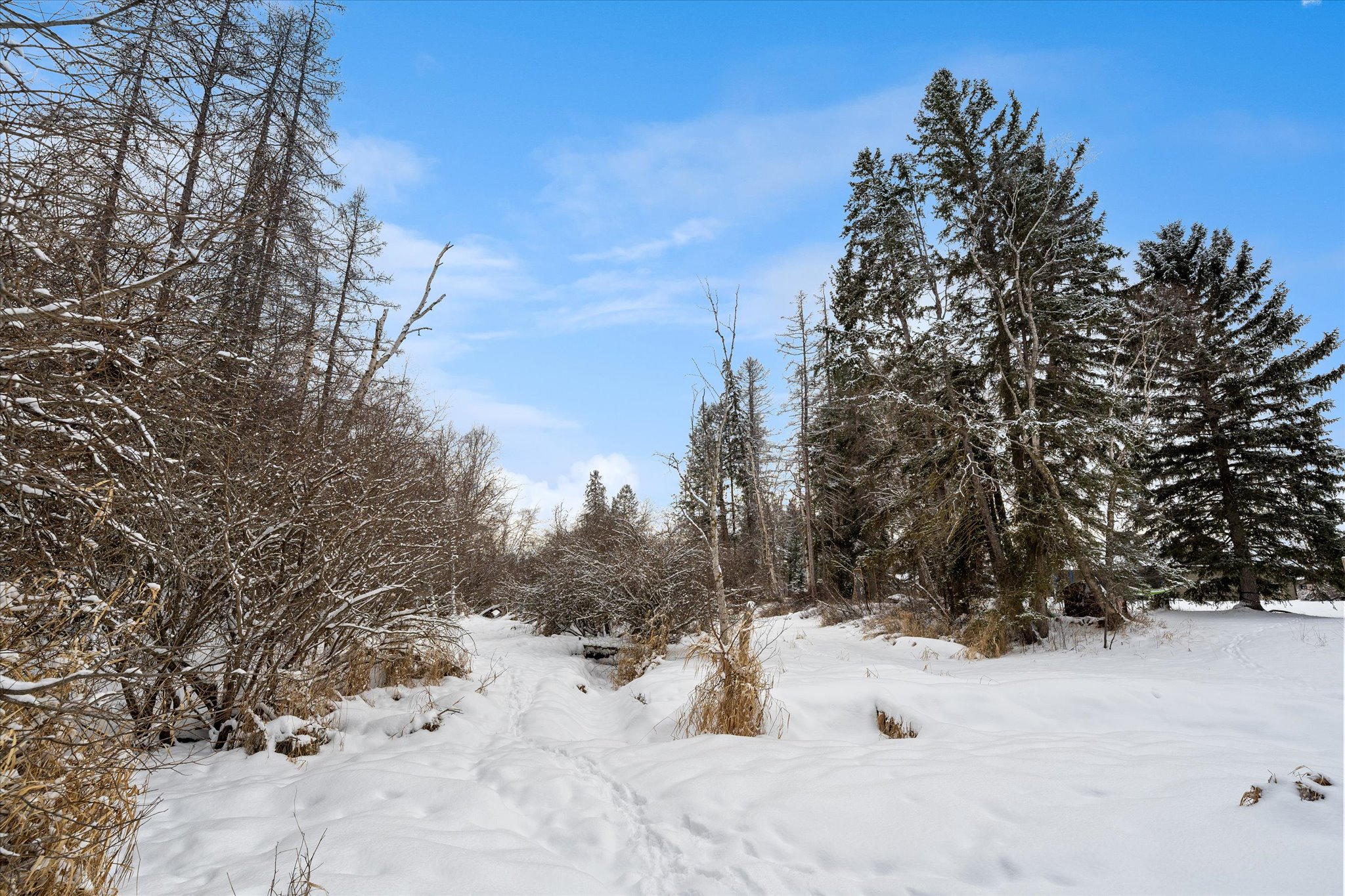286 Soaring Pines Trail Property Photo 40