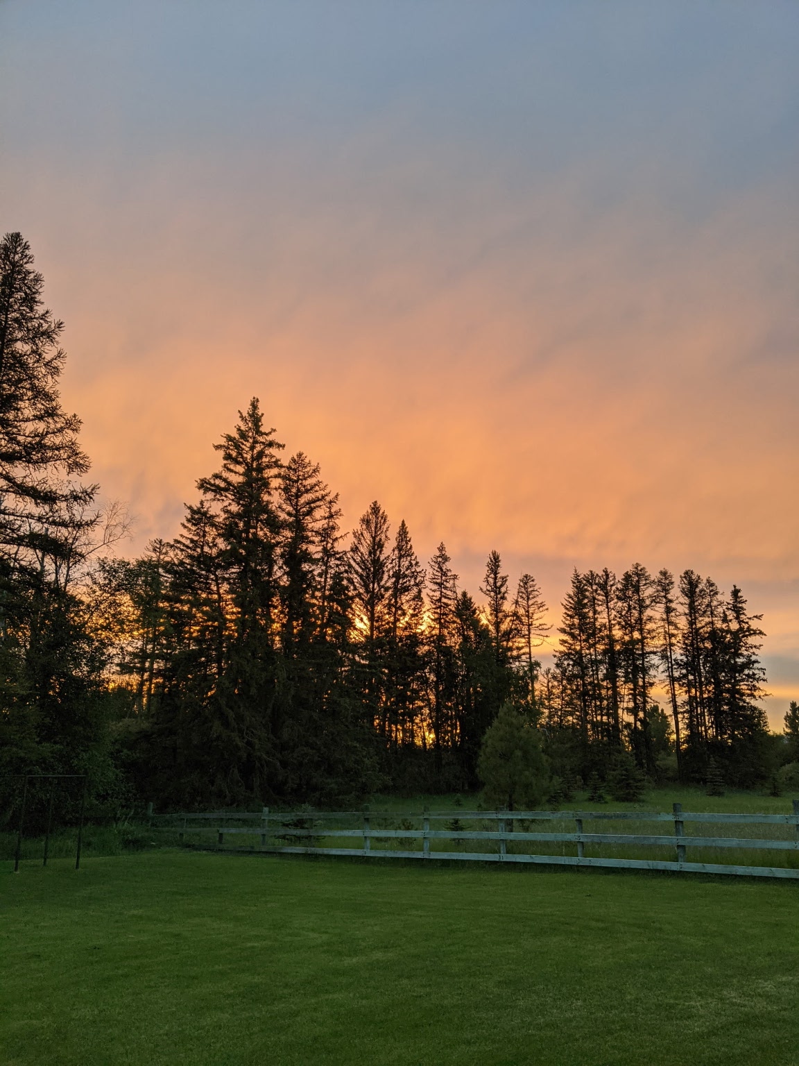 286 Soaring Pines Trail Property Photo 43