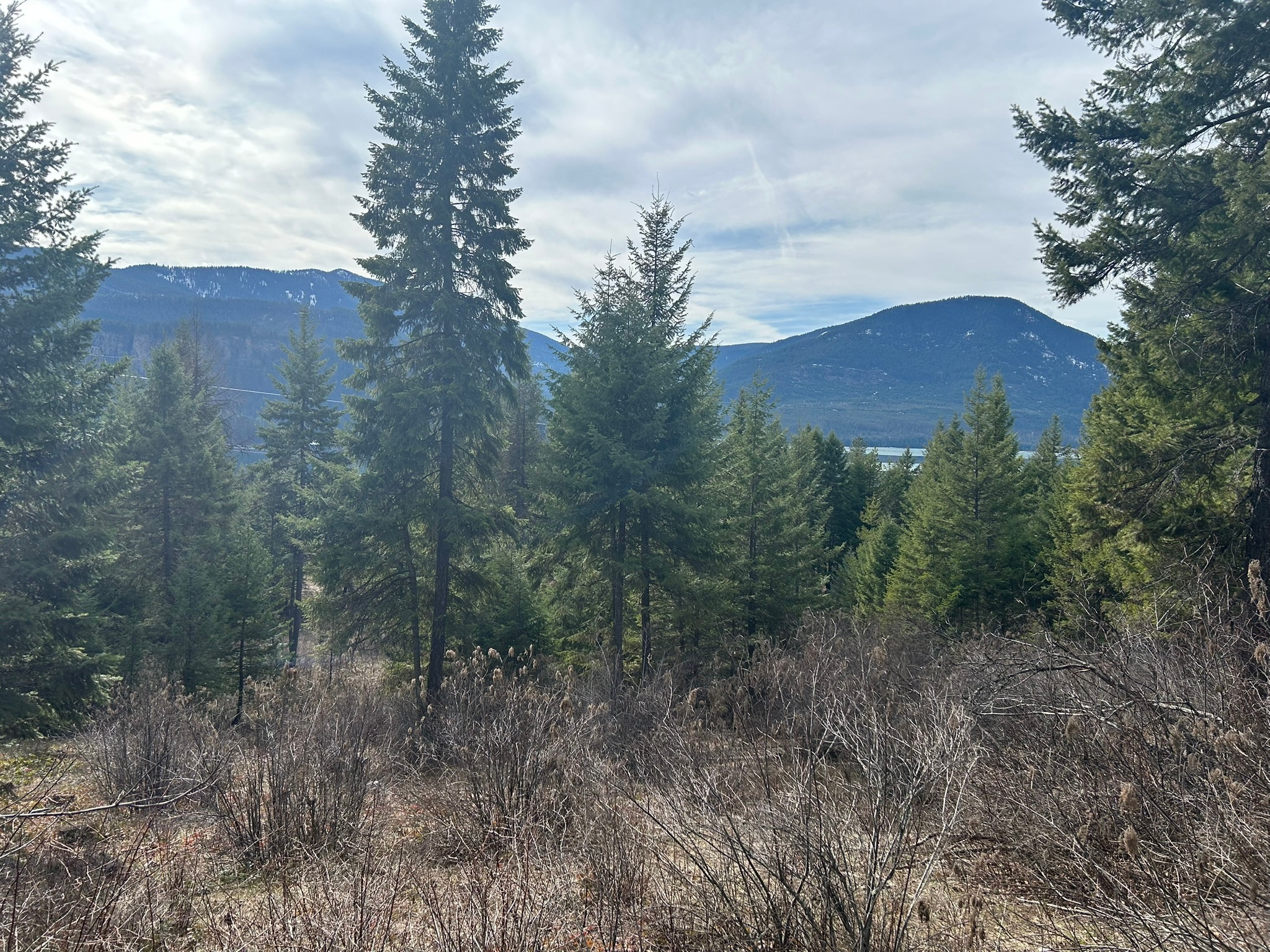 5 Red Fir Lane Property Photo