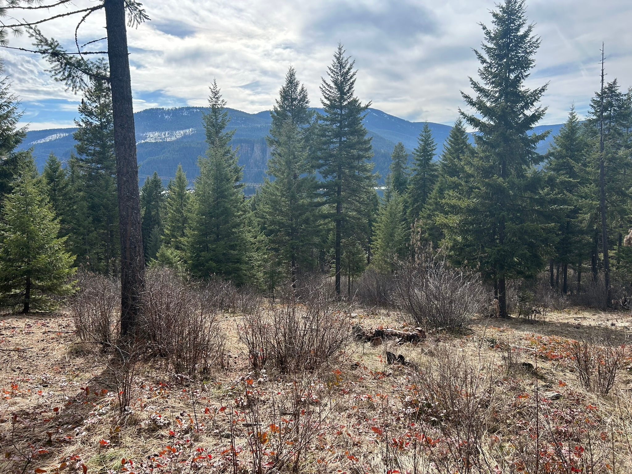 5 Red Fir Lane Property Photo 3