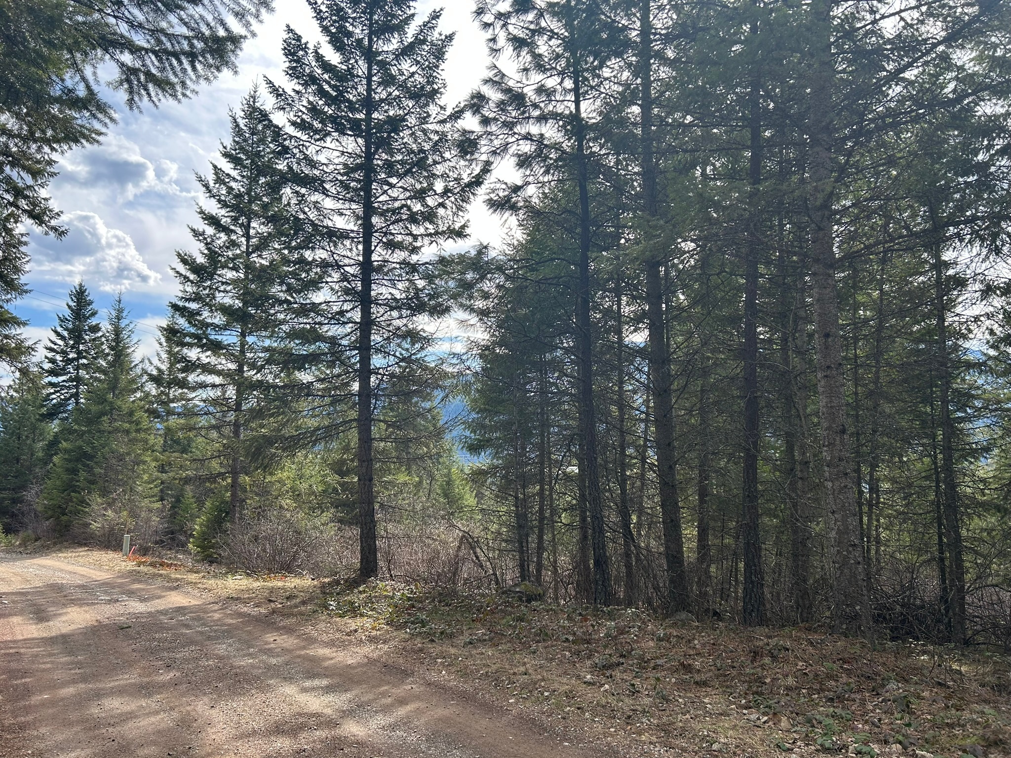 5 Red Fir Lane Property Photo 4