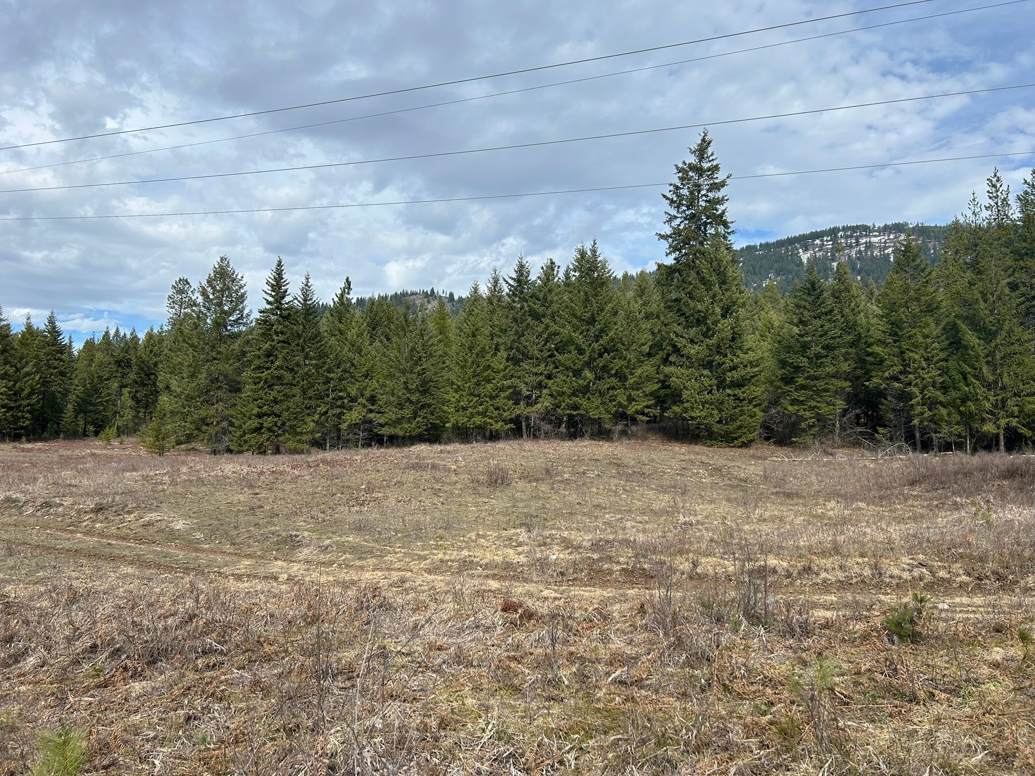 5 Red Fir Lane Property Photo 5