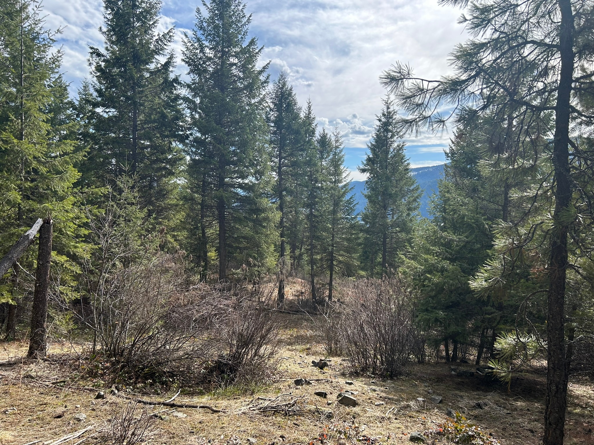 5 Red Fir Lane Property Photo 6