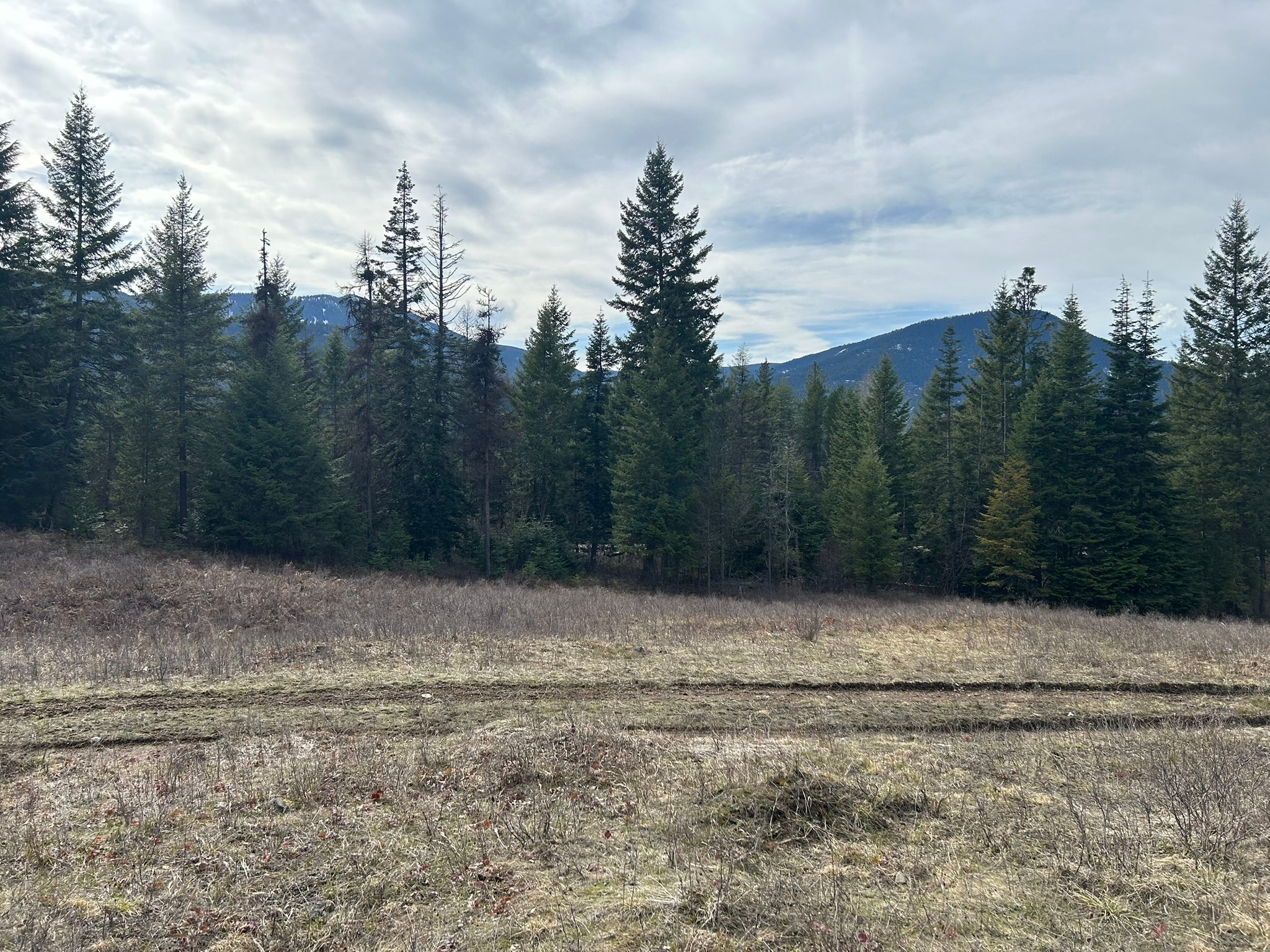 5 Red Fir Lane Property Photo 8