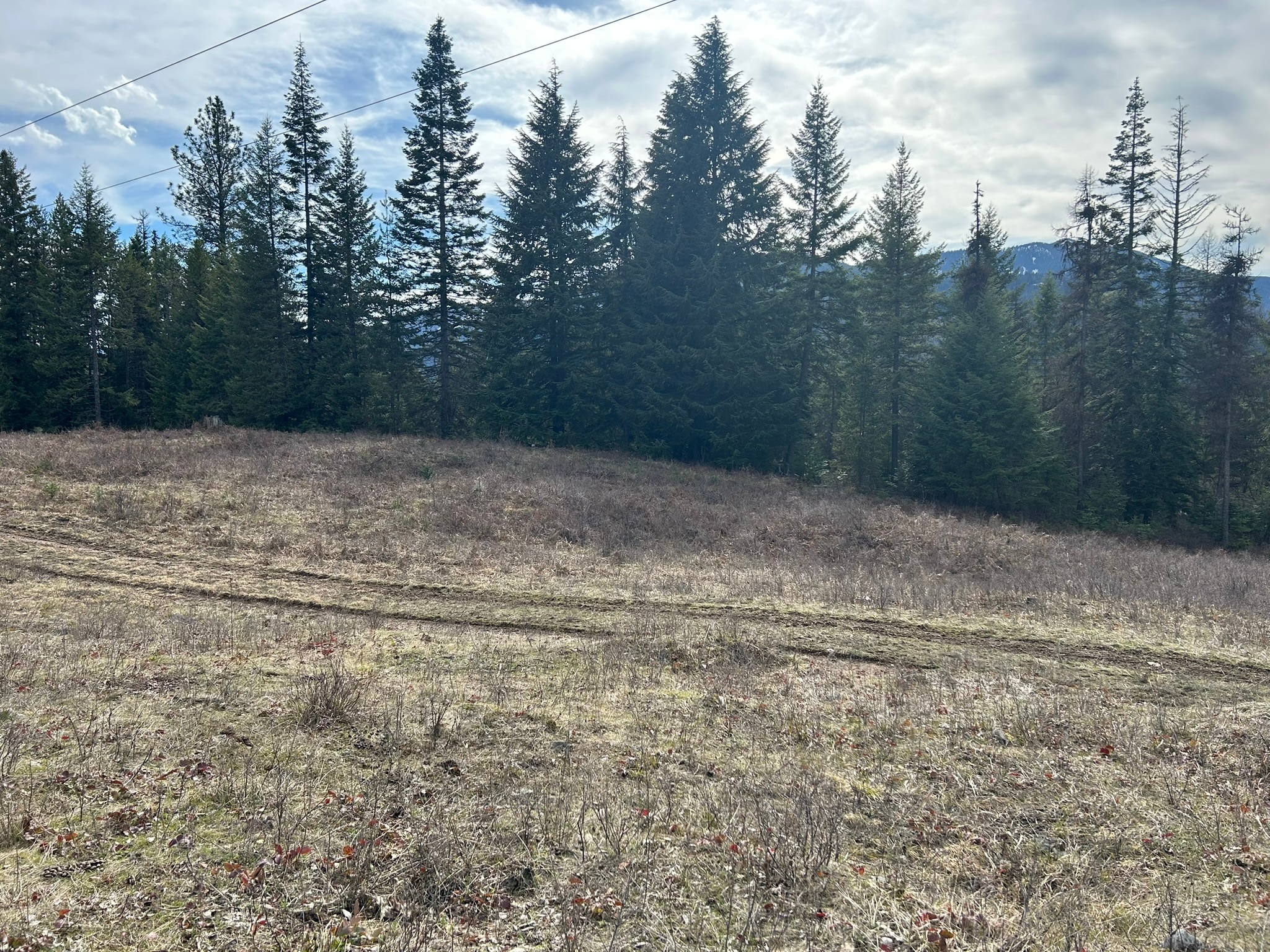 5 Red Fir Lane Property Photo 9