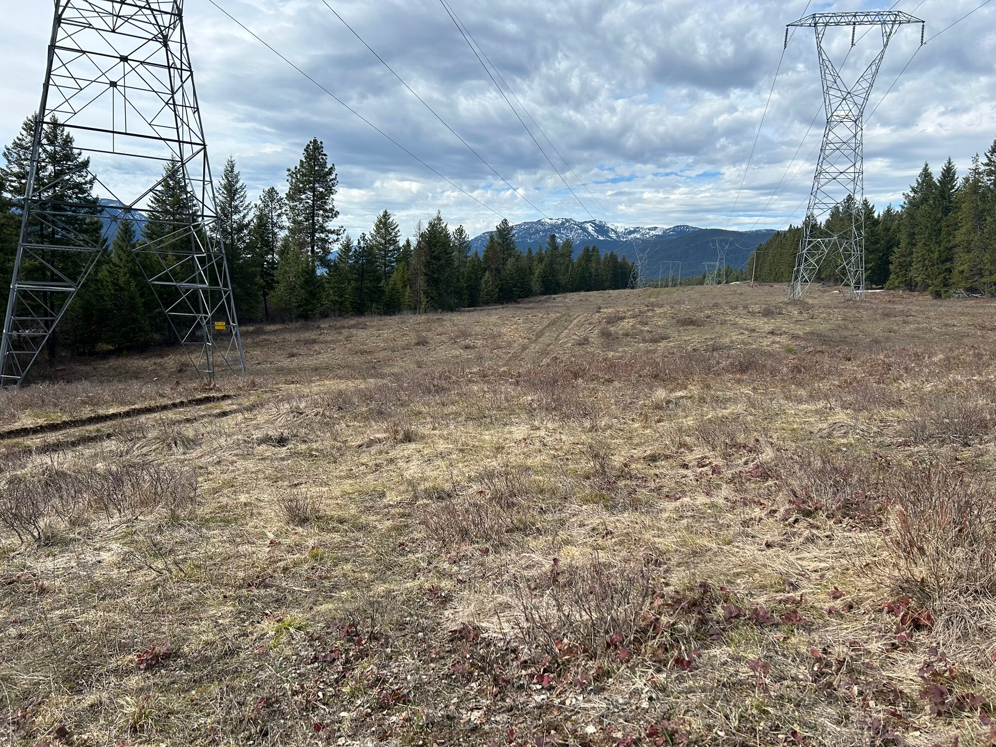 5 Red Fir Lane Property Photo 12