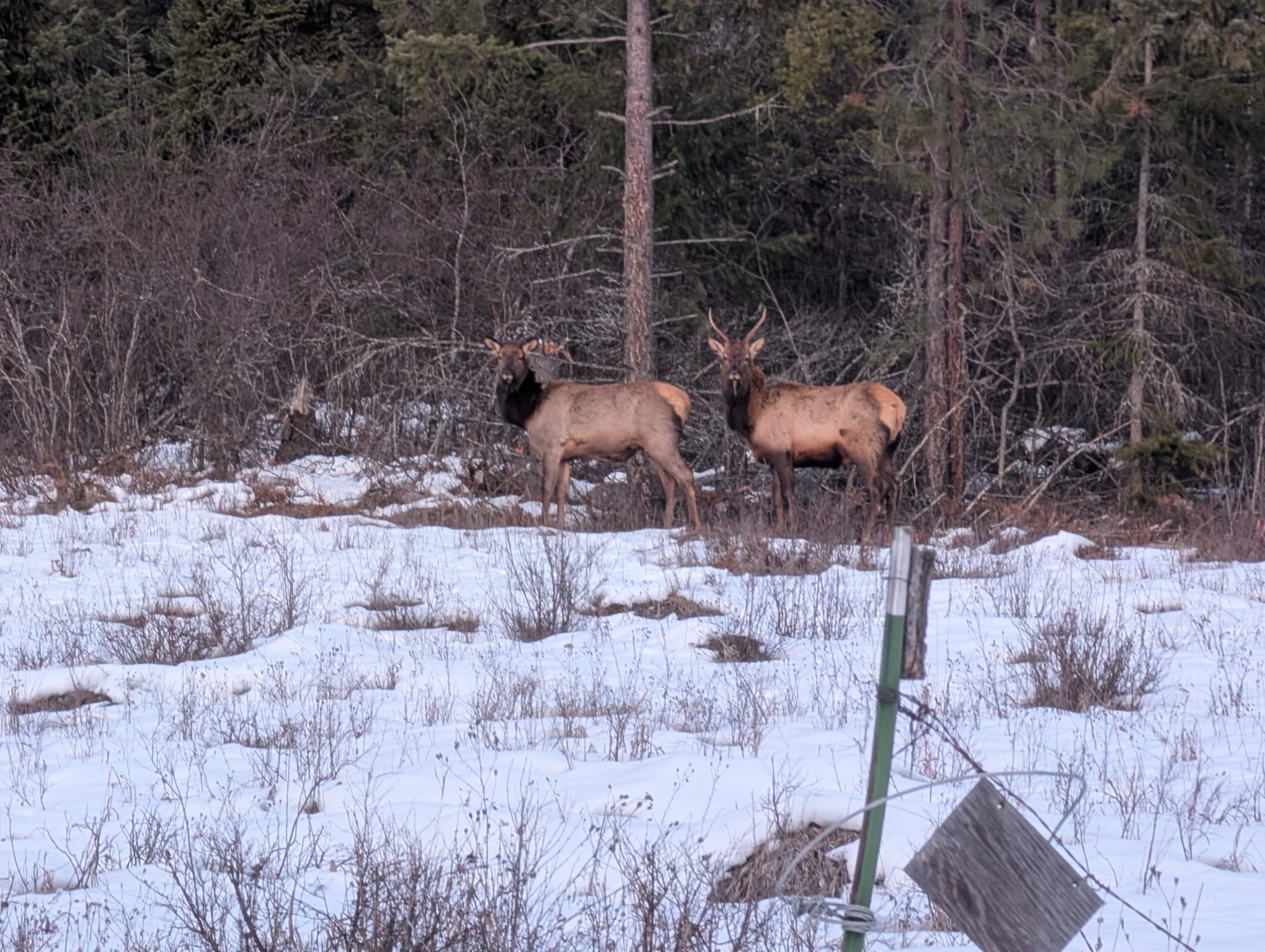 5 Red Fir Lane Property Photo 13