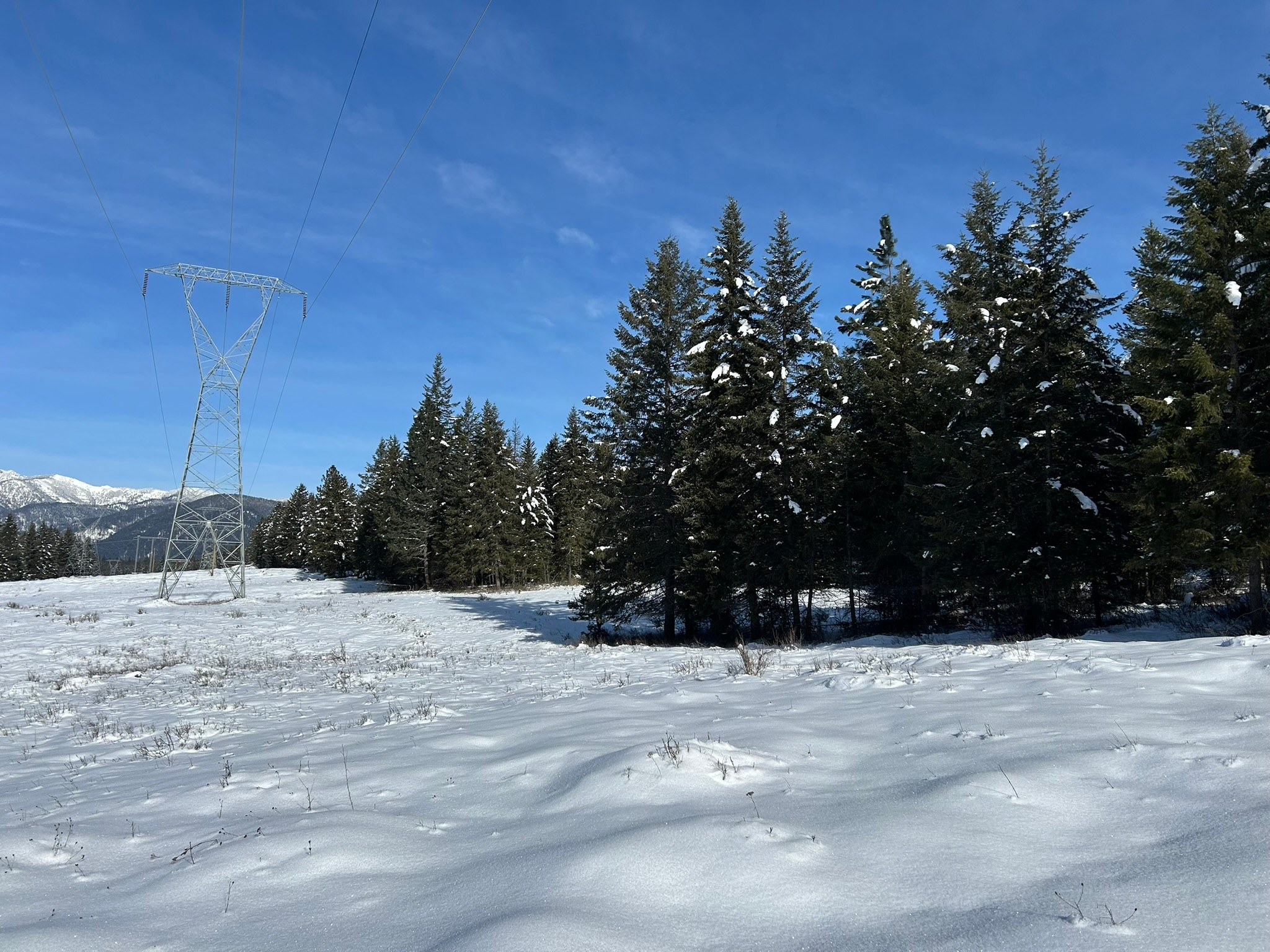 5 Red Fir Lane Property Photo 15