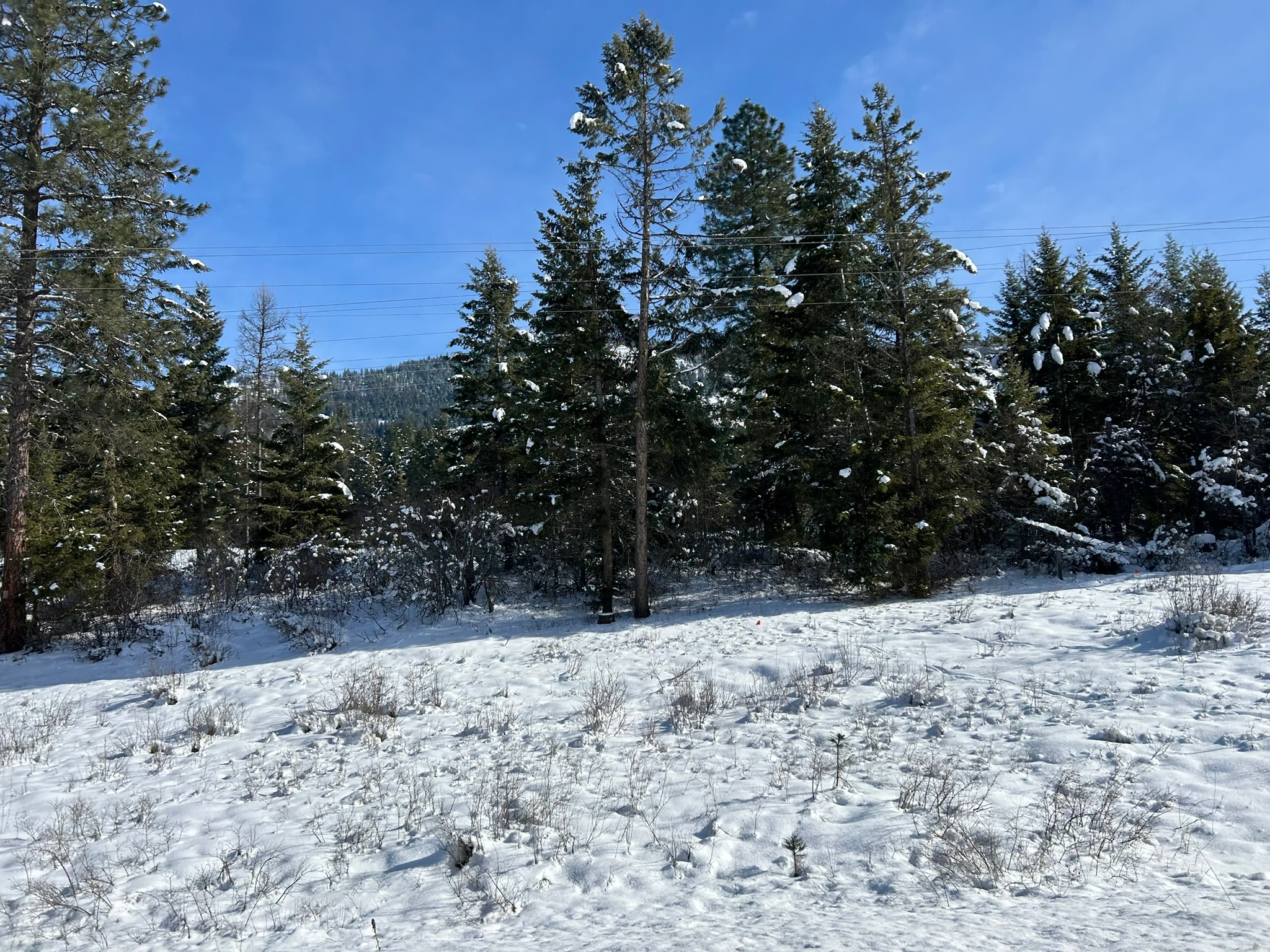 5 Red Fir Lane Property Photo 17