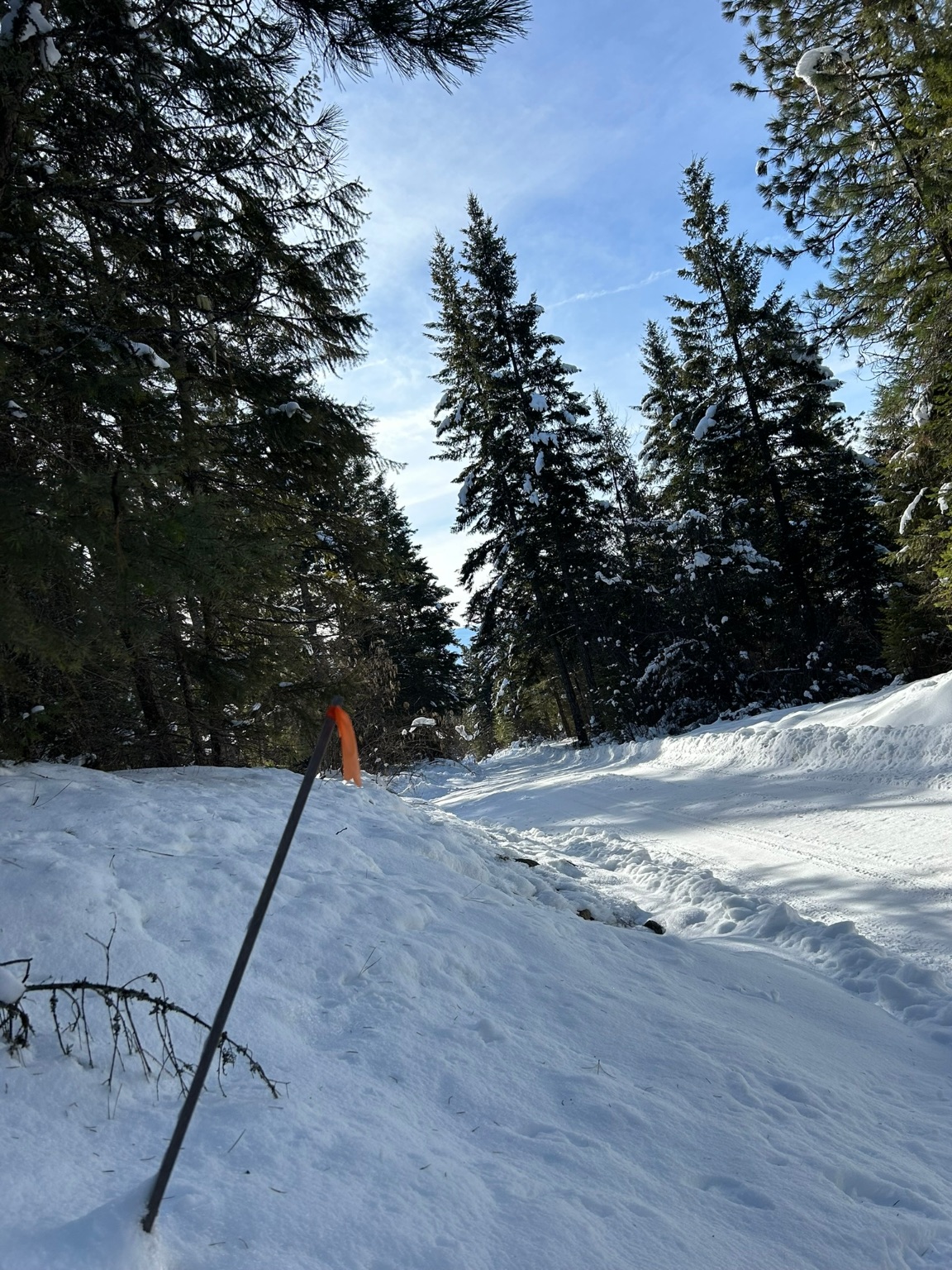 5 Red Fir Lane Property Photo 18