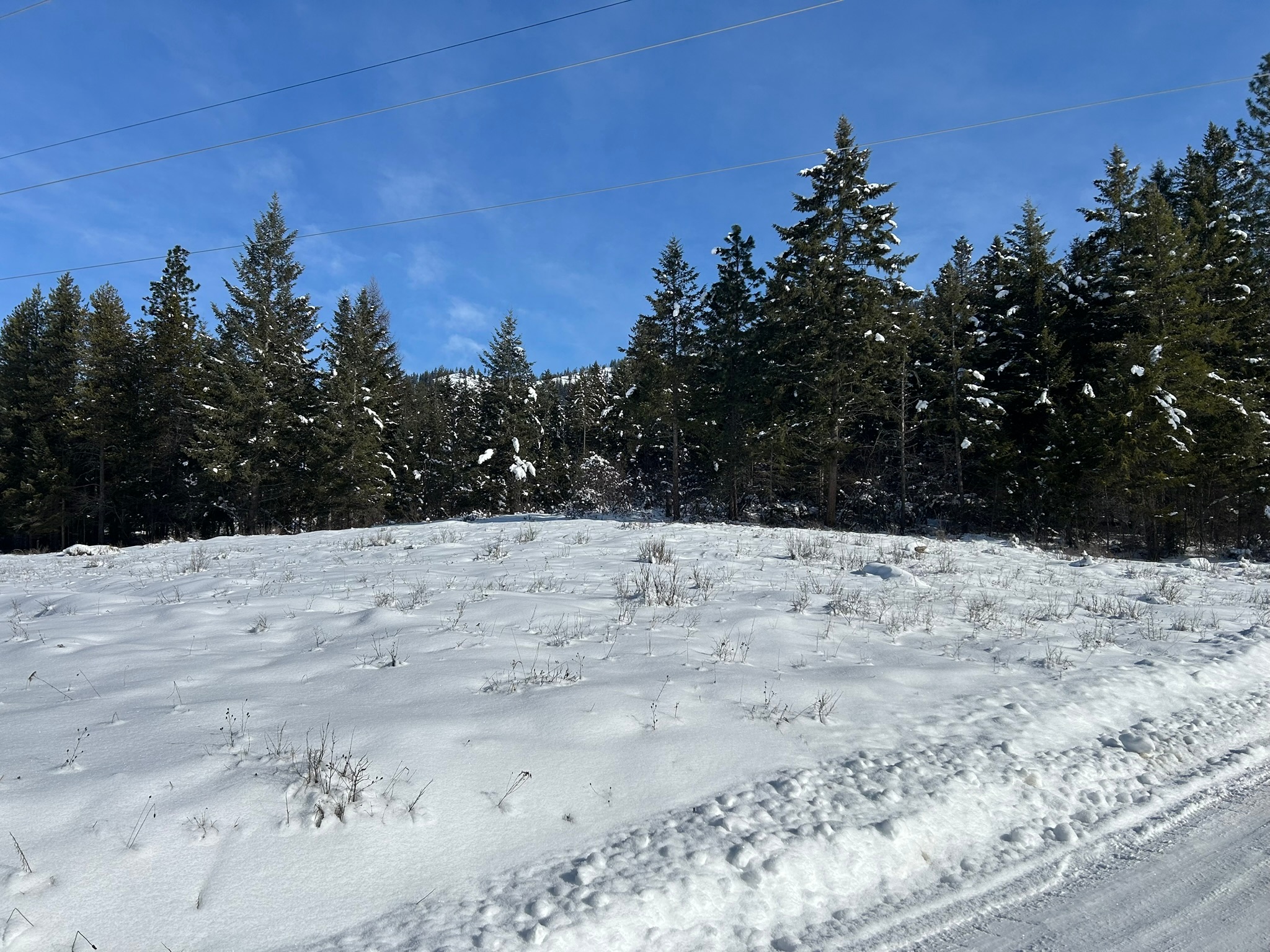 5 Red Fir Lane Property Photo 19