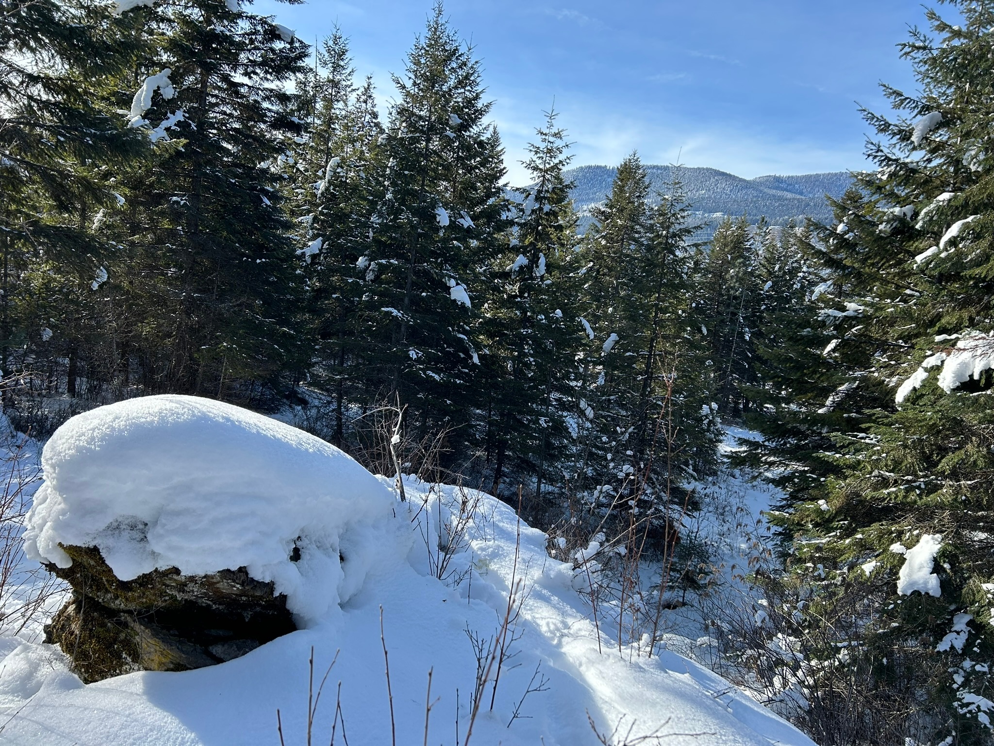 5 Red Fir Lane Property Photo 20