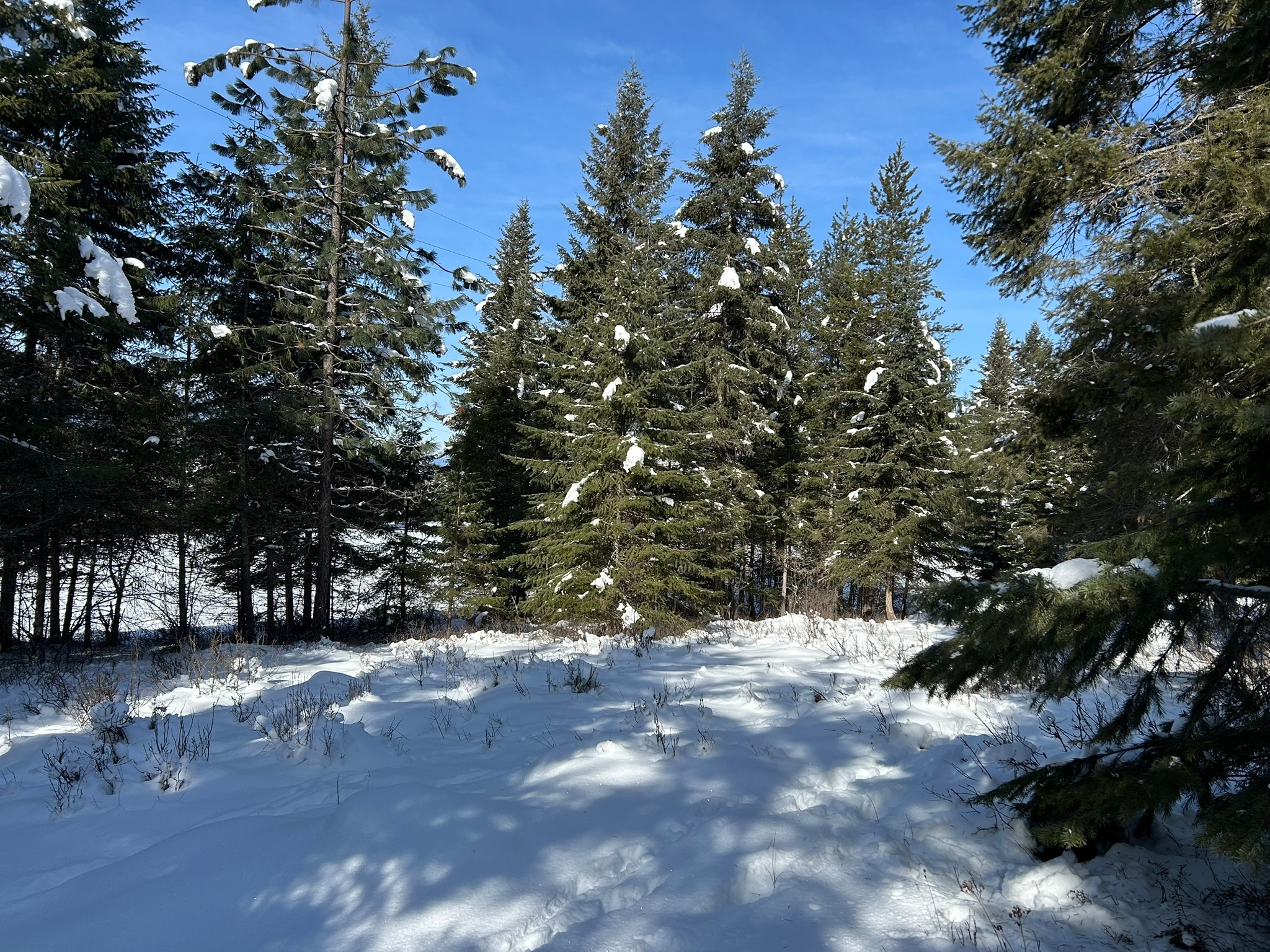 5 Red Fir Lane Property Photo 22