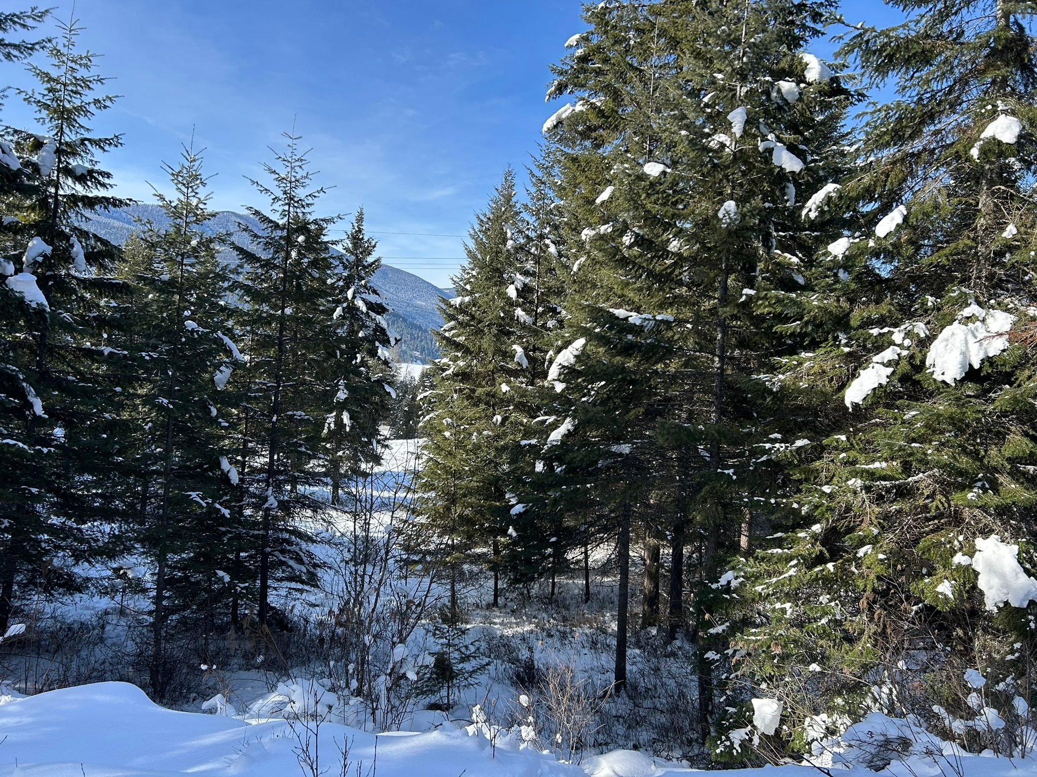 5 Red Fir Lane Property Photo 23