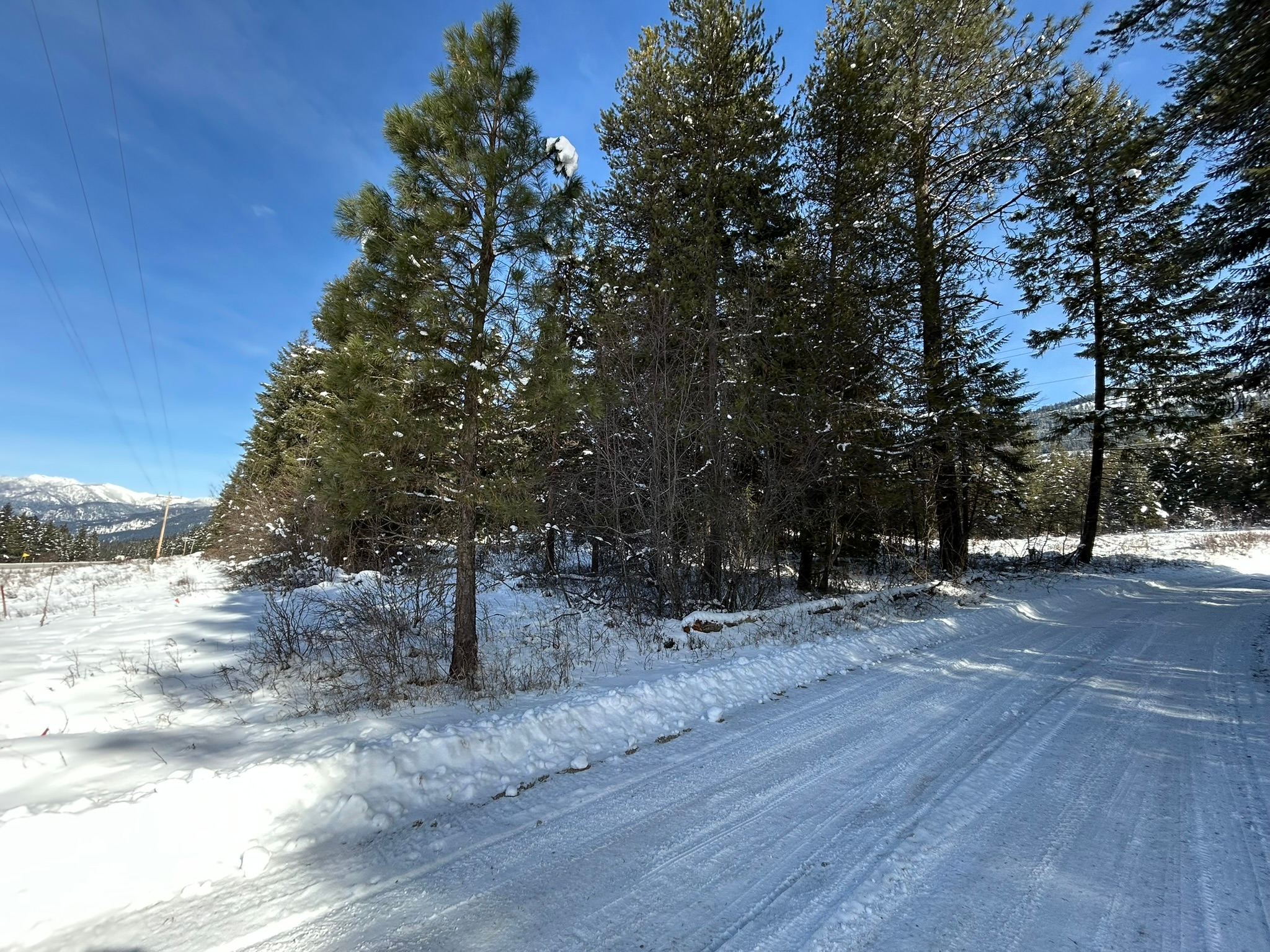 5 Red Fir Lane Property Photo 26