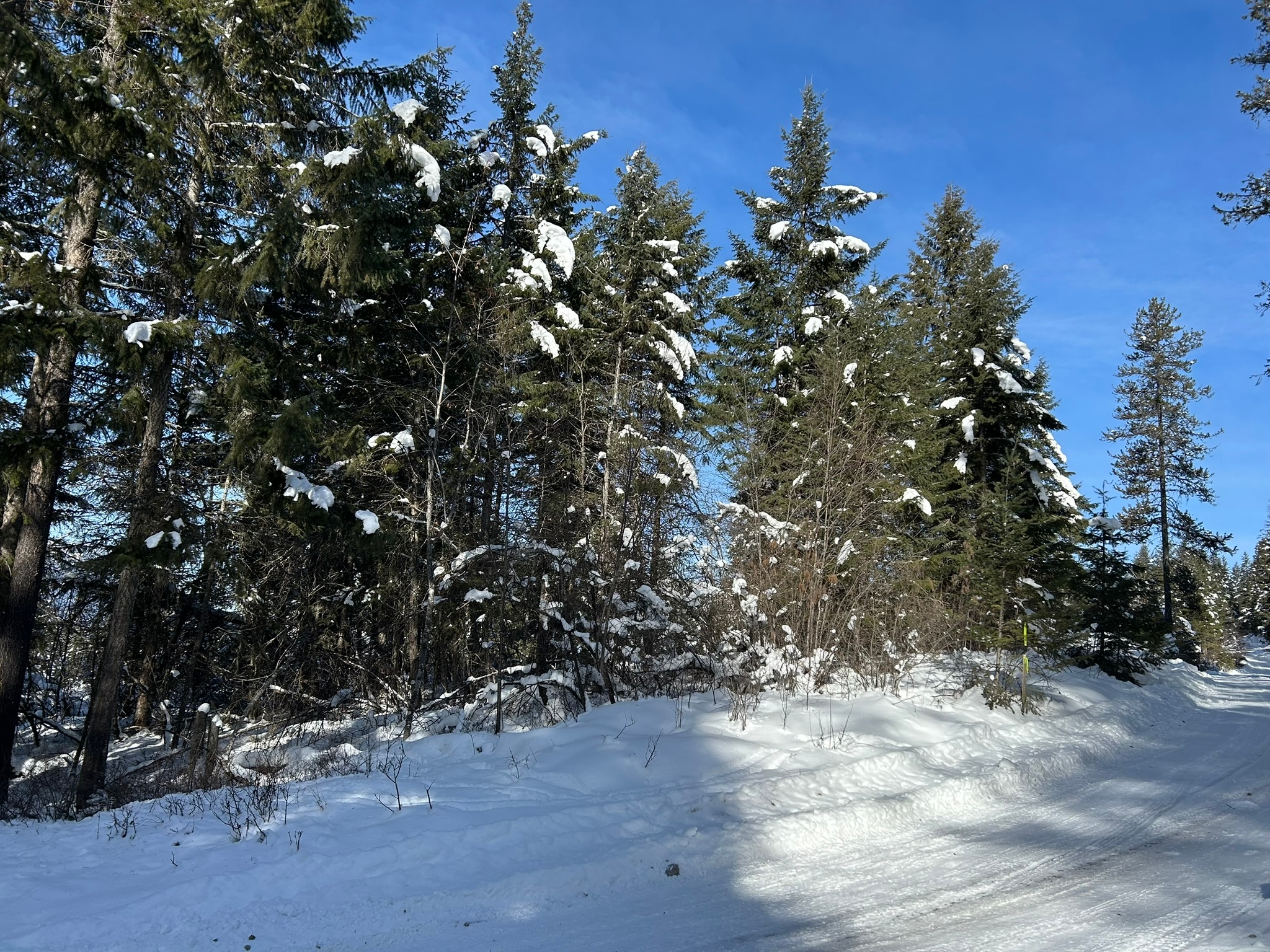 5 Red Fir Lane Property Photo 27