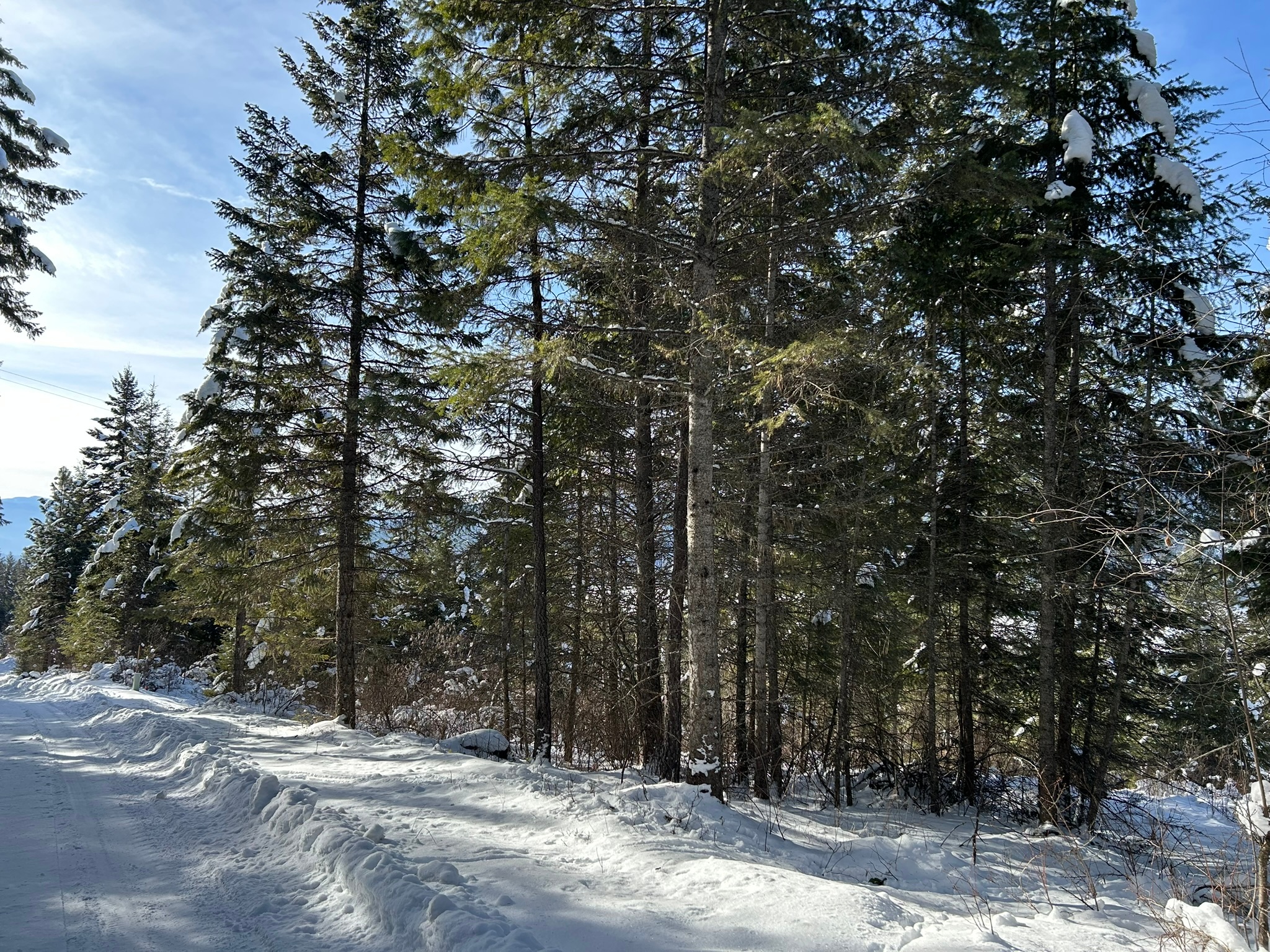 5 Red Fir Lane Property Photo 28