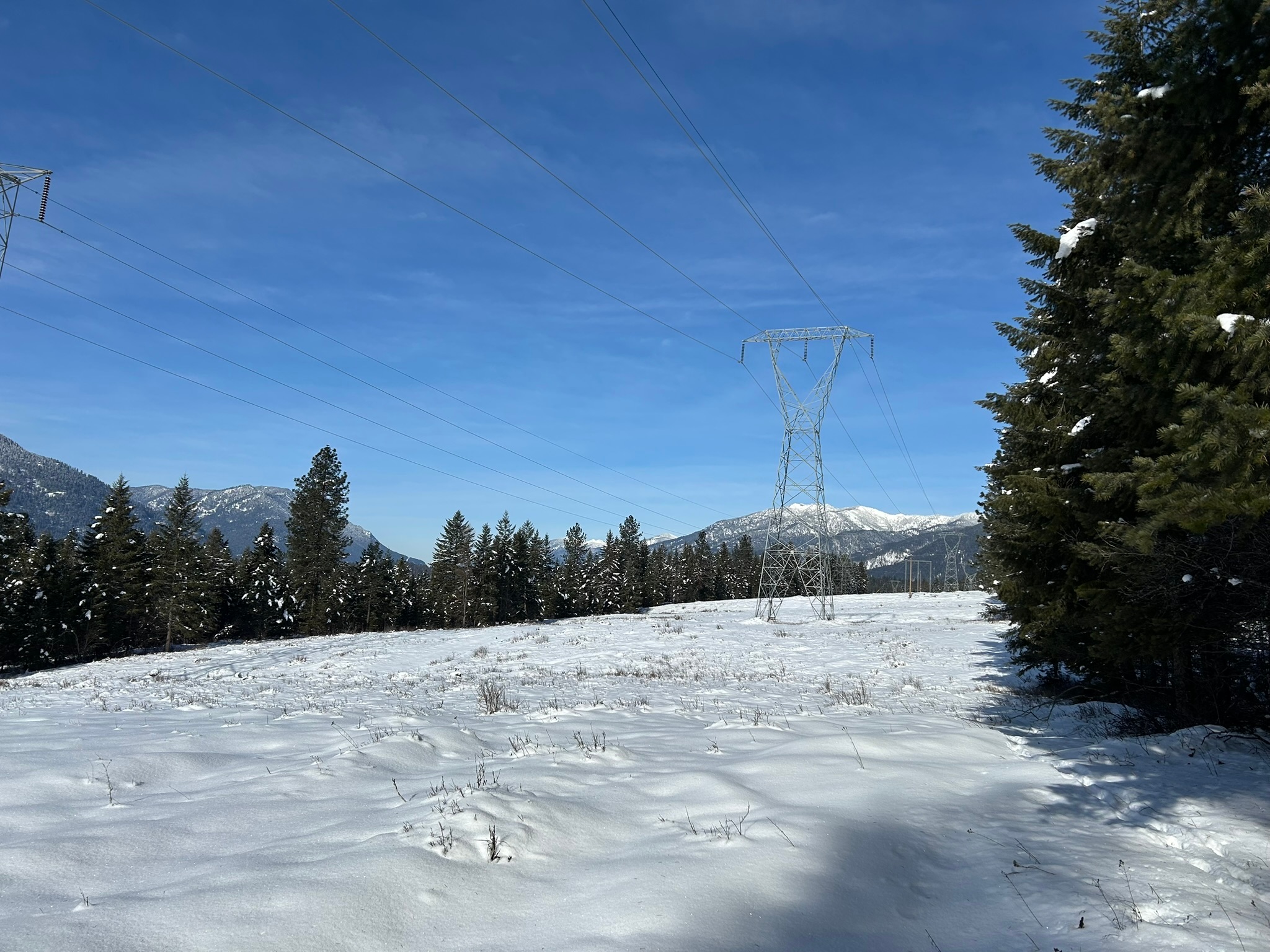 5 Red Fir Lane Property Photo 29