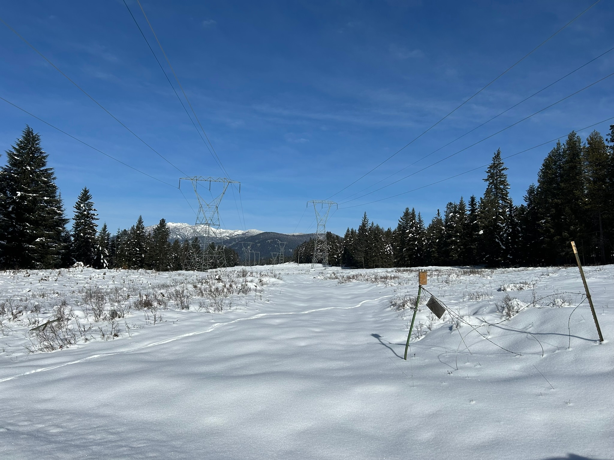 5 Red Fir Lane Property Photo 30