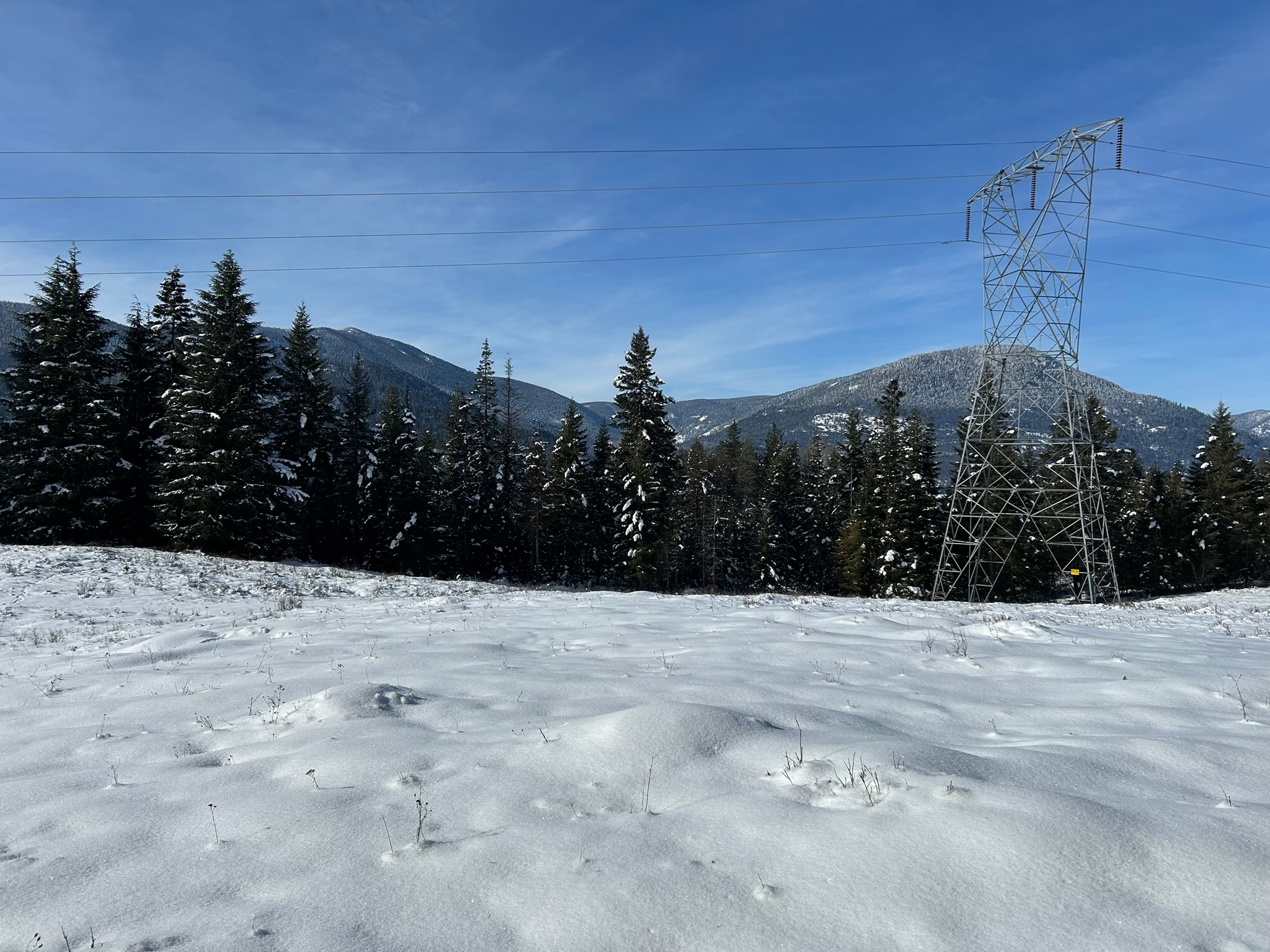 5 Red Fir Lane Property Photo 31