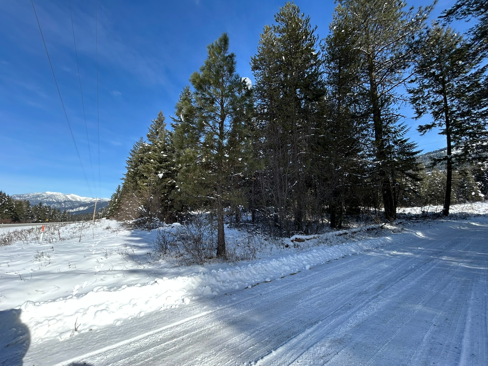 5 Red Fir Lane Property Photo 32