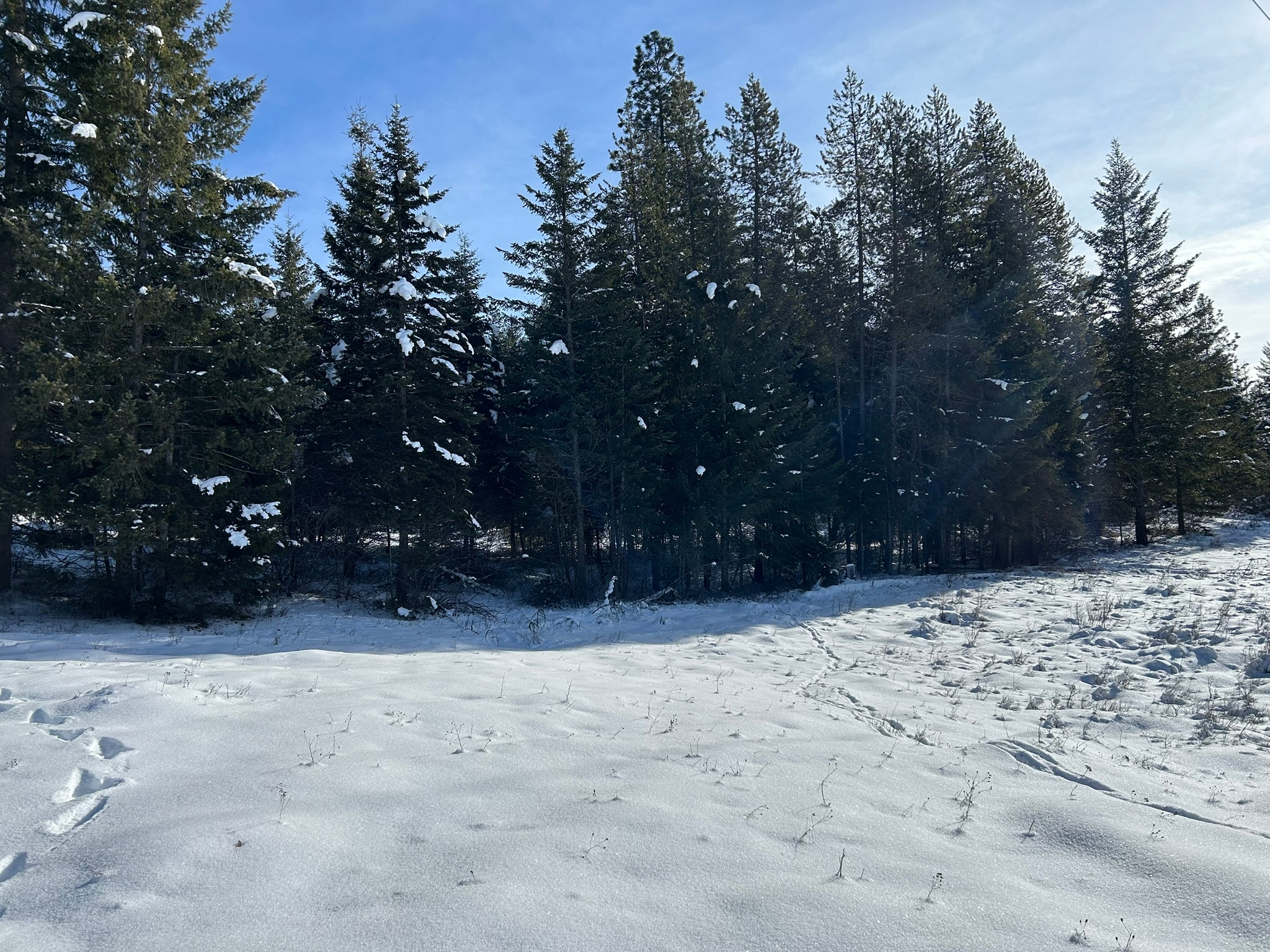 5 Red Fir Lane Property Photo 33