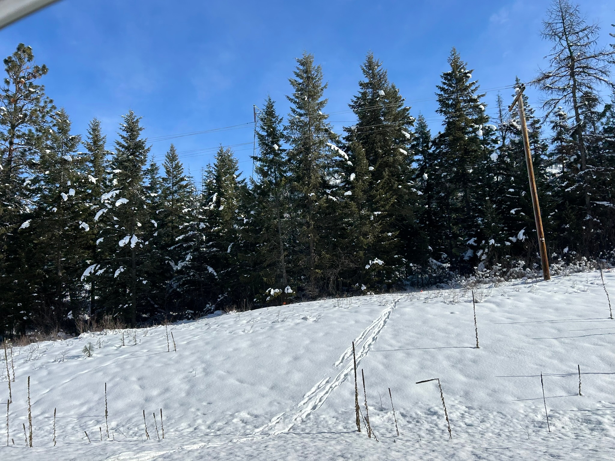 5 Red Fir Lane Property Photo 34