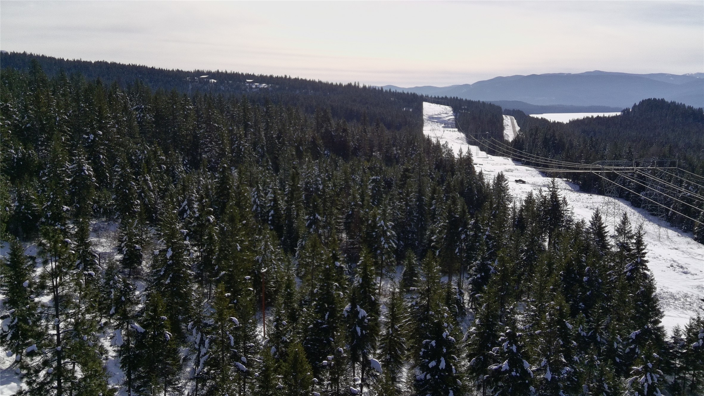 5 Red Fir Lane Property Photo 35