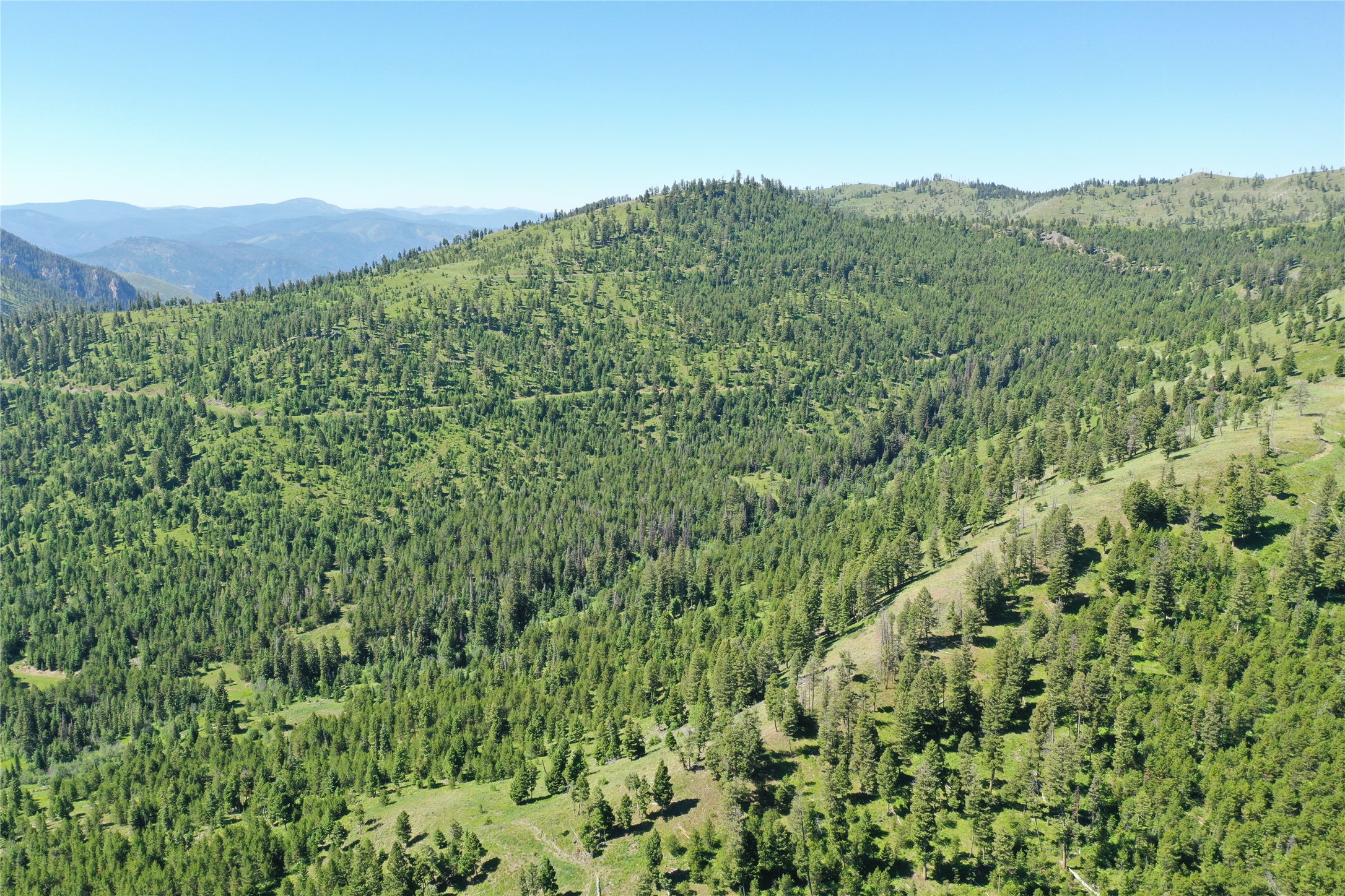 4 Tract, Garnet Range Property Photo