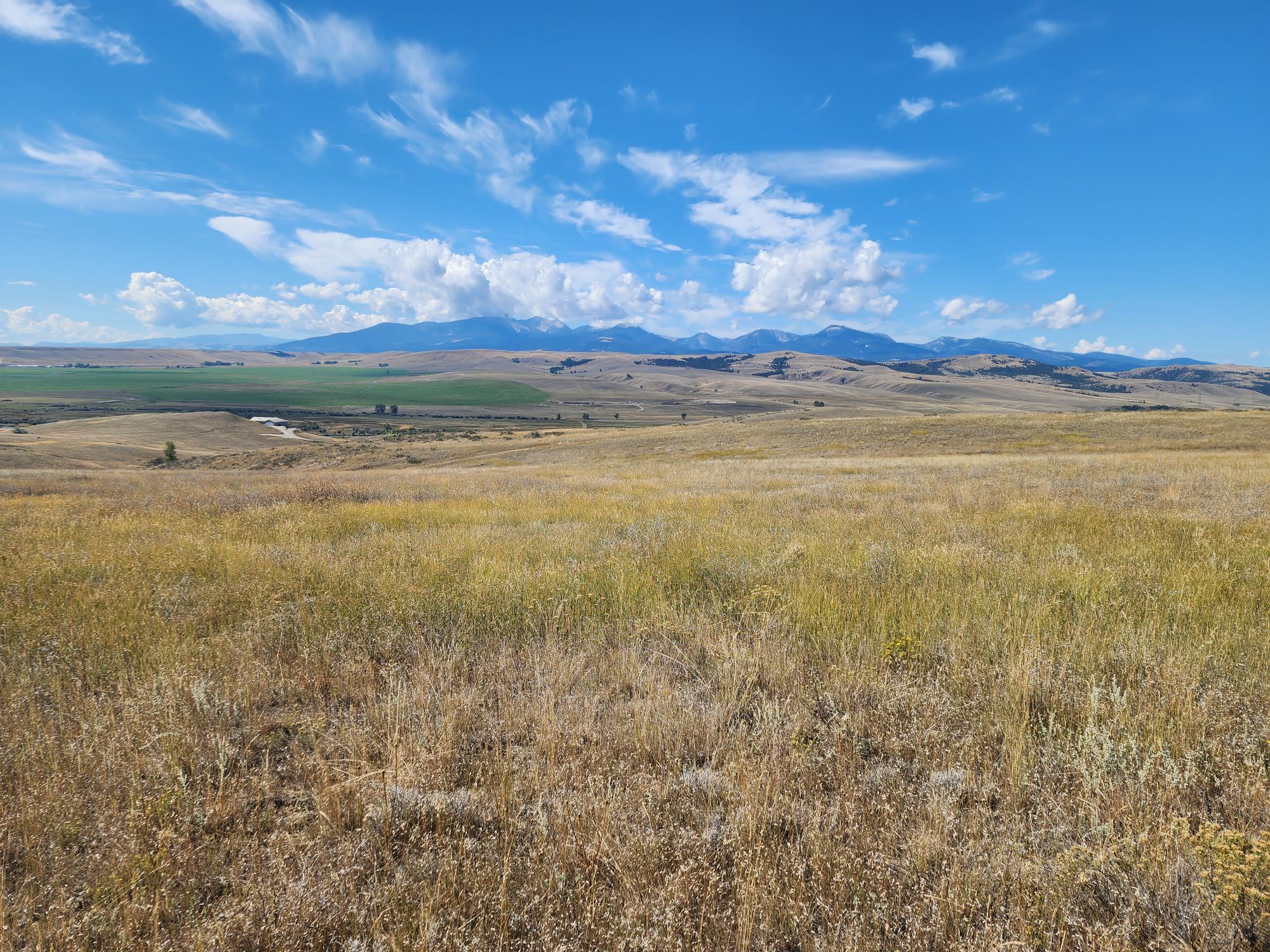 692 Prickly Pear Lane Property Photo