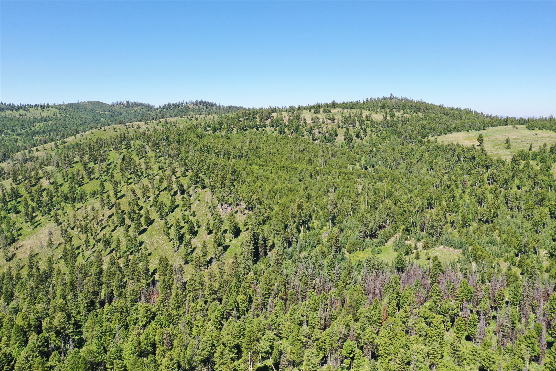 11 Tract, Garnet Range Property Photo 5