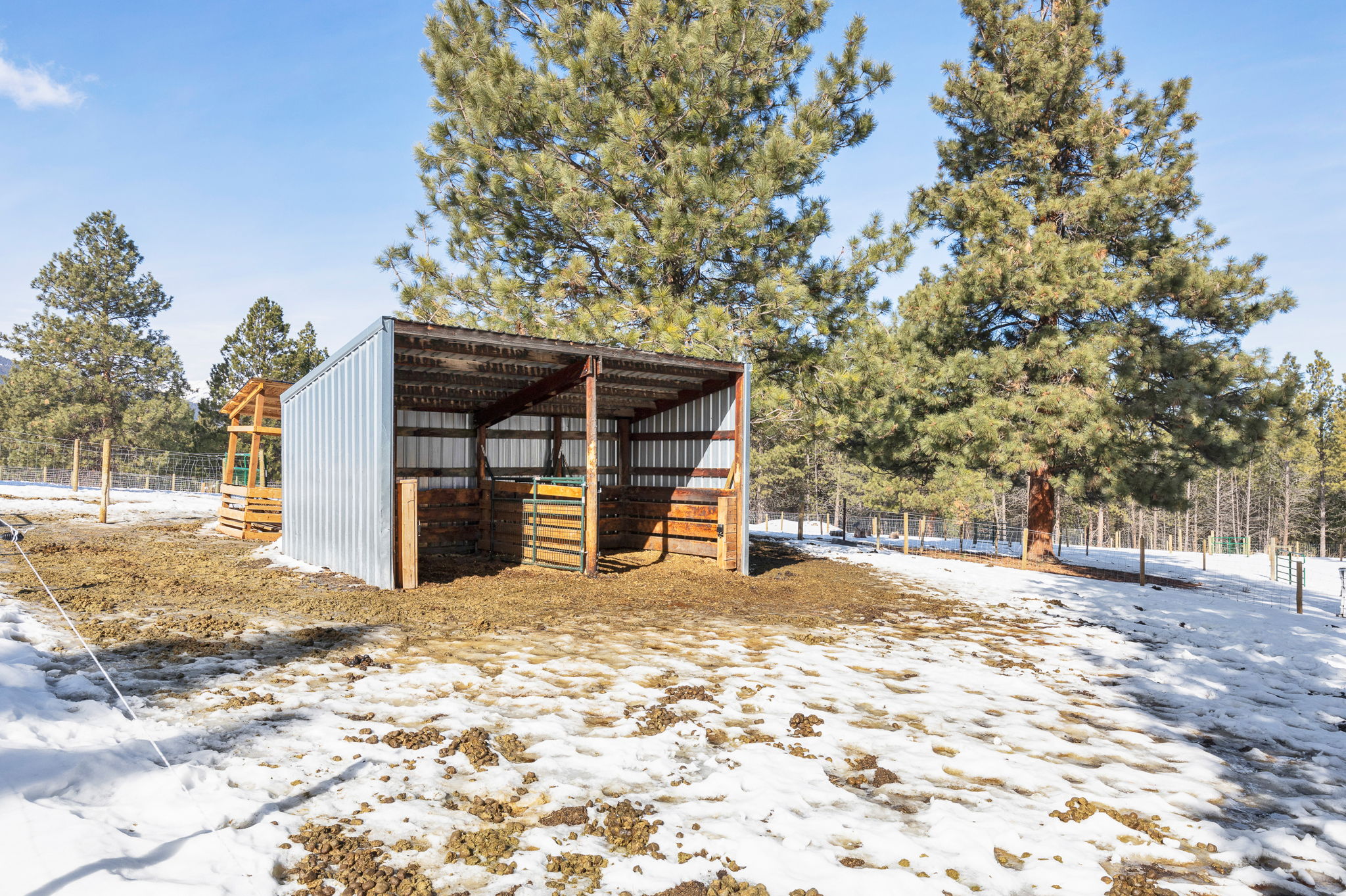 509 W Missoula Avenue Property Photo 104