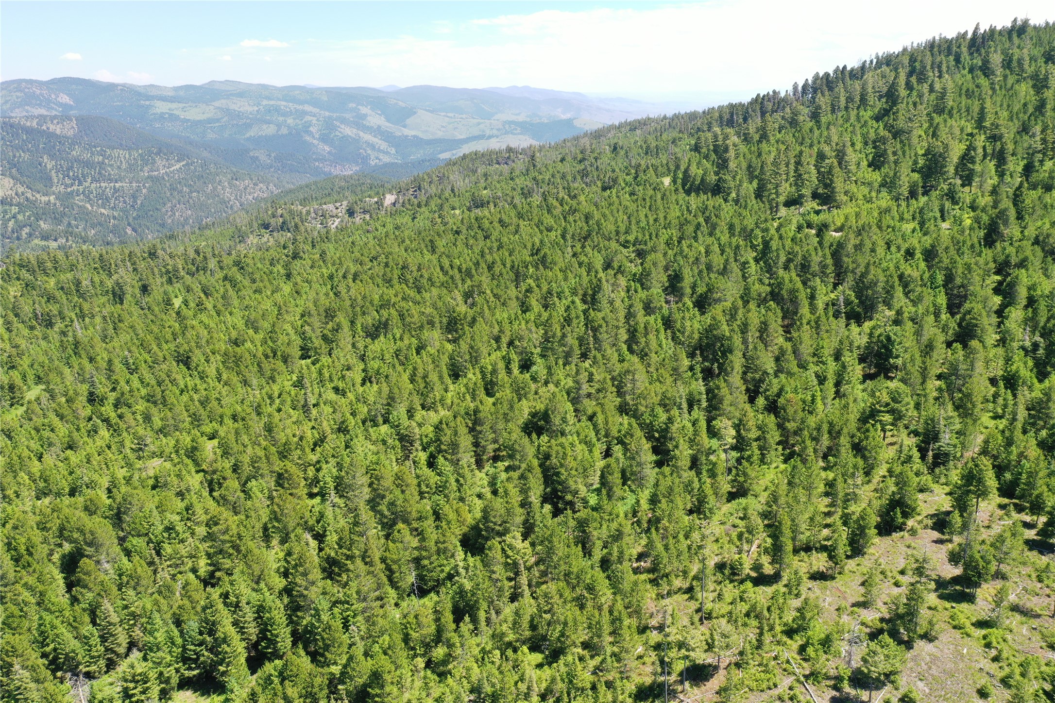 14 Tract, Garnet Range Property Photo 4