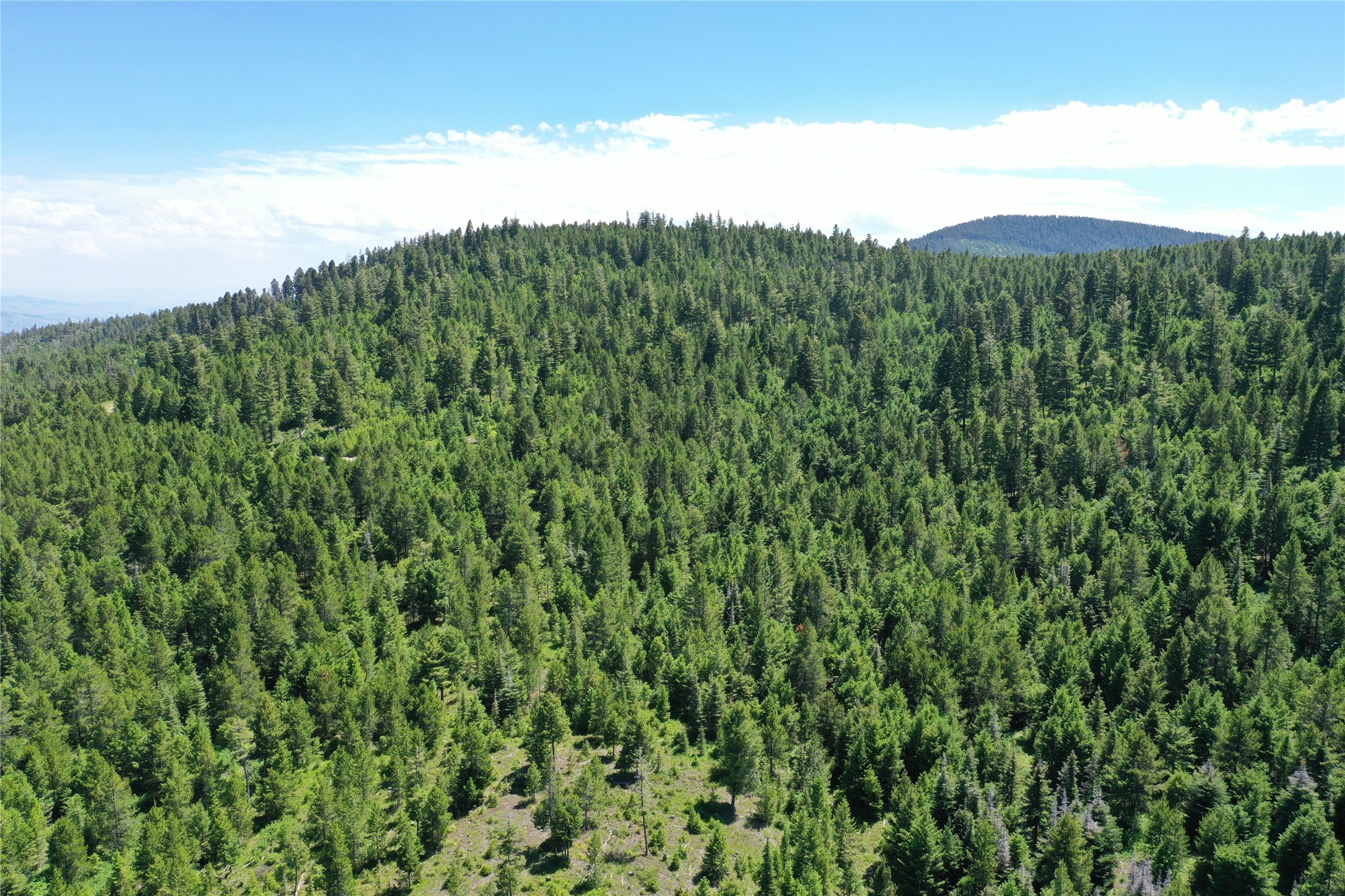14 Tract, Garnet Range Property Photo 5