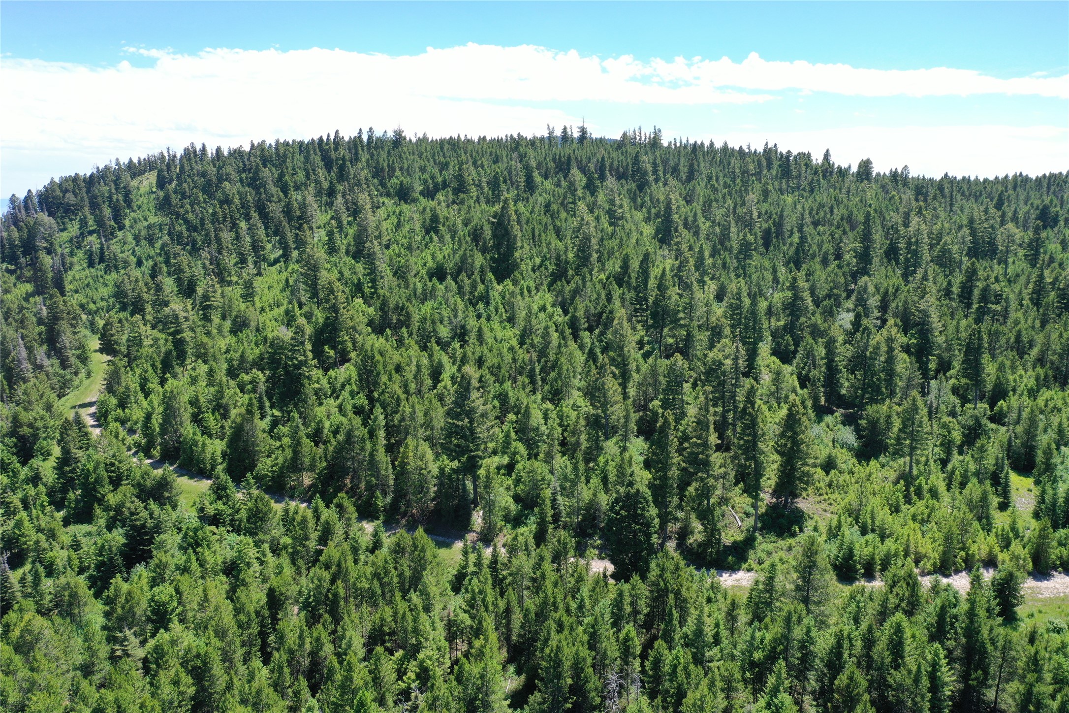 14 Tract, Garnet Range Property Photo 8