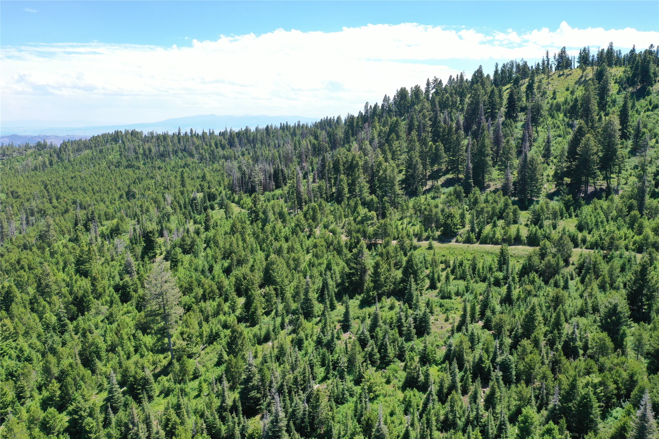 14 Tract, Garnet Range Property Photo 9