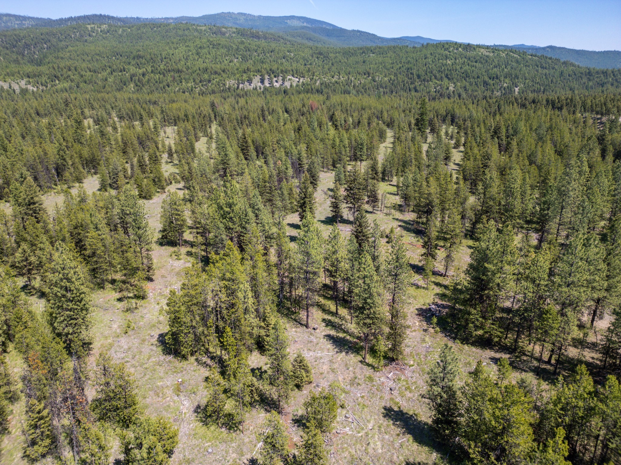 Lot 9 ACM Road N