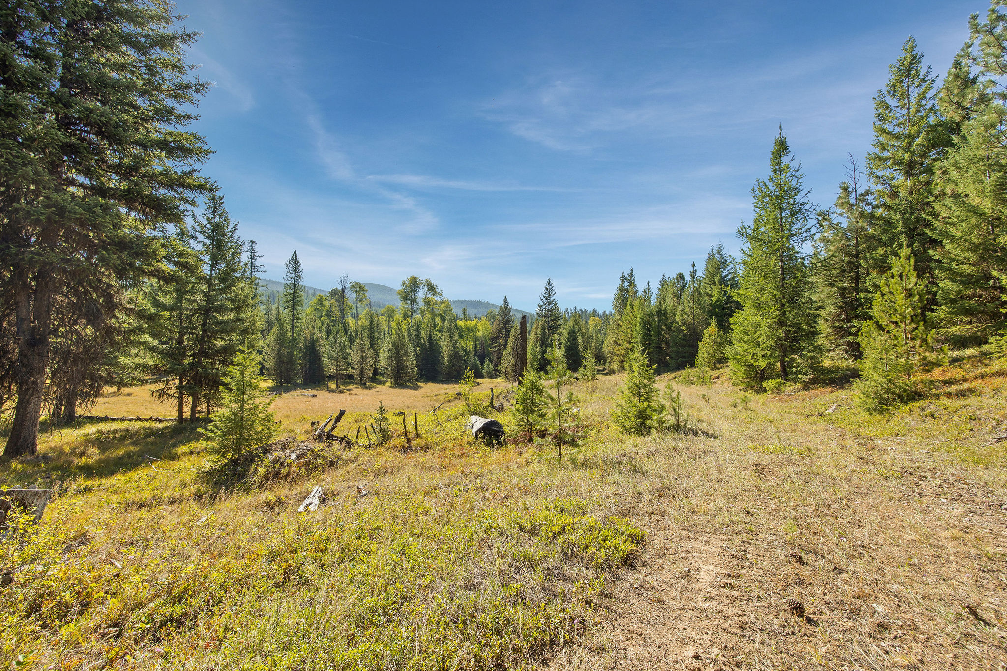 Nhn Whitney Lake Road Property Photo 3