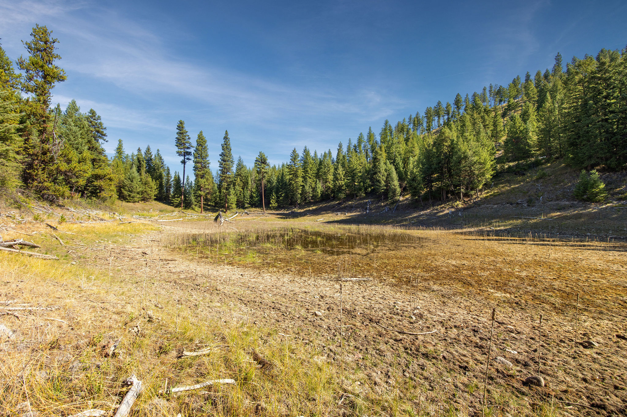 Nhn Whitney Lake Road Property Photo 4