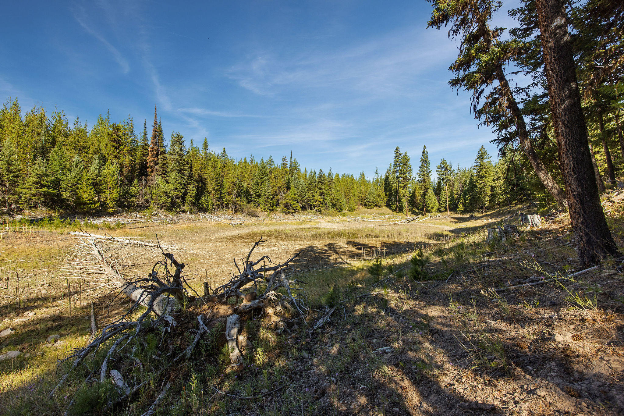 Nhn Whitney Lake Road Property Photo 5