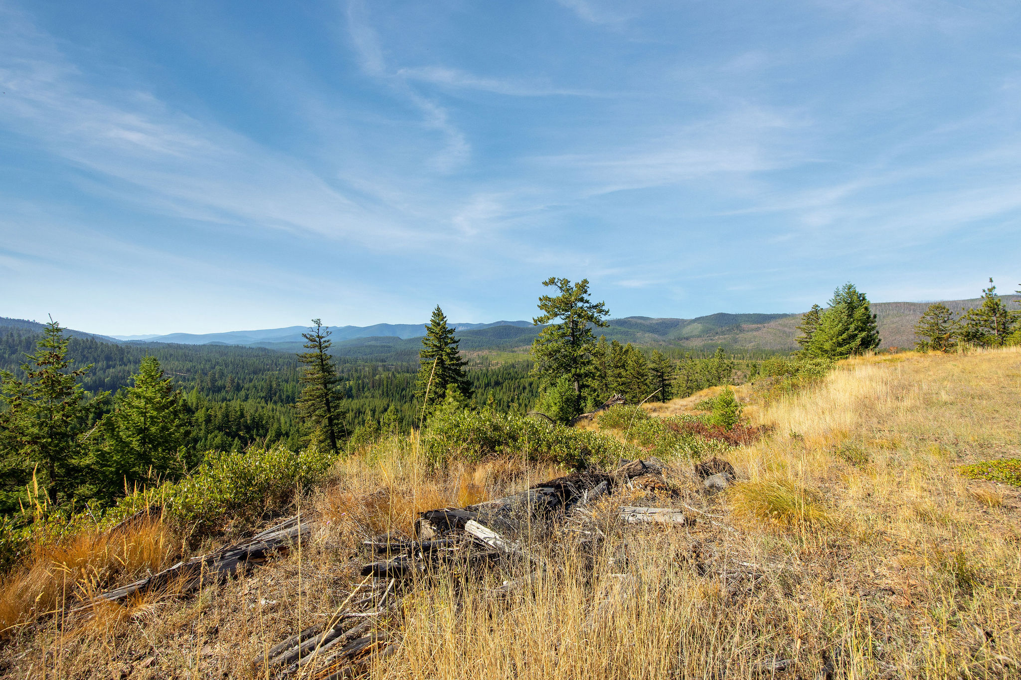 Nhn Whitney Lake Road Property Photo 9
