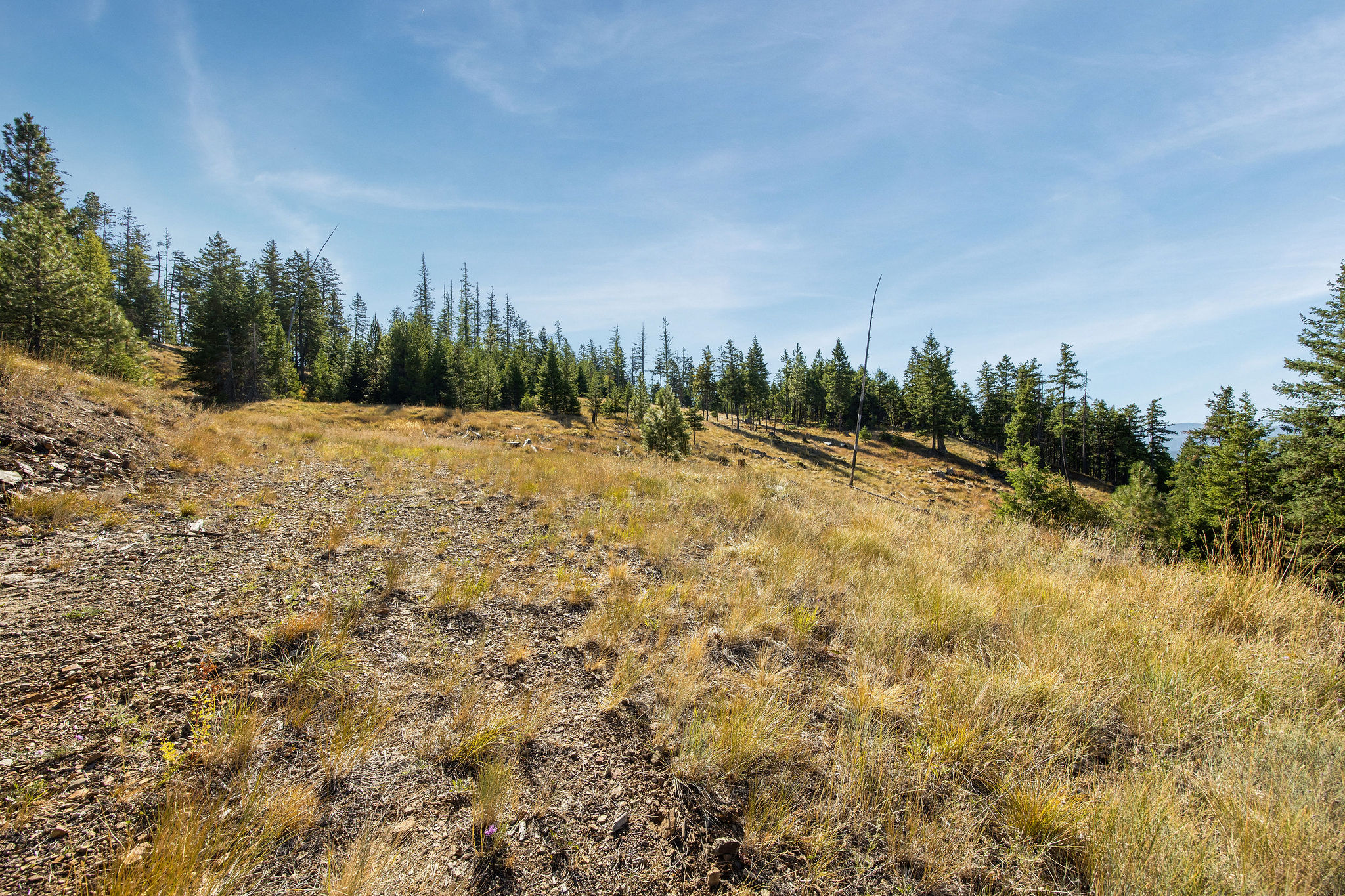 Nhn Whitney Lake Road Property Photo 10