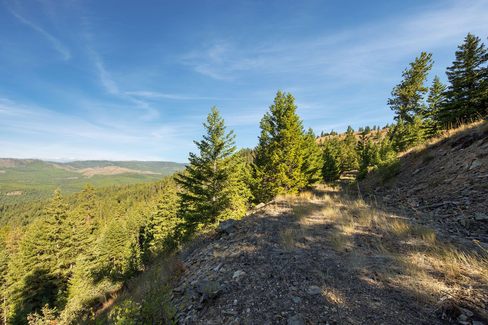 Nhn Whitney Lake Road Property Photo 11