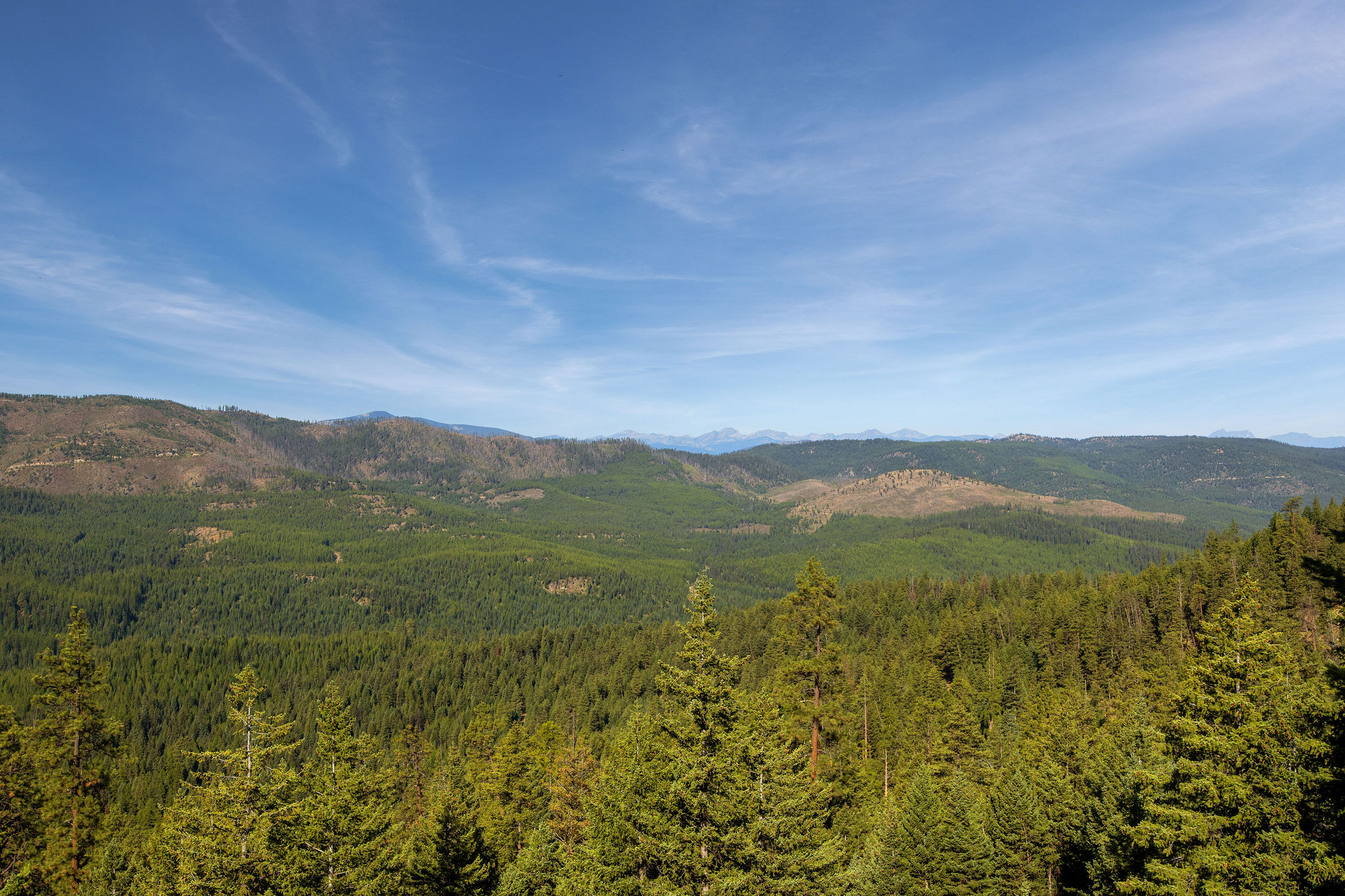 Nhn Whitney Lake Road Property Photo 14