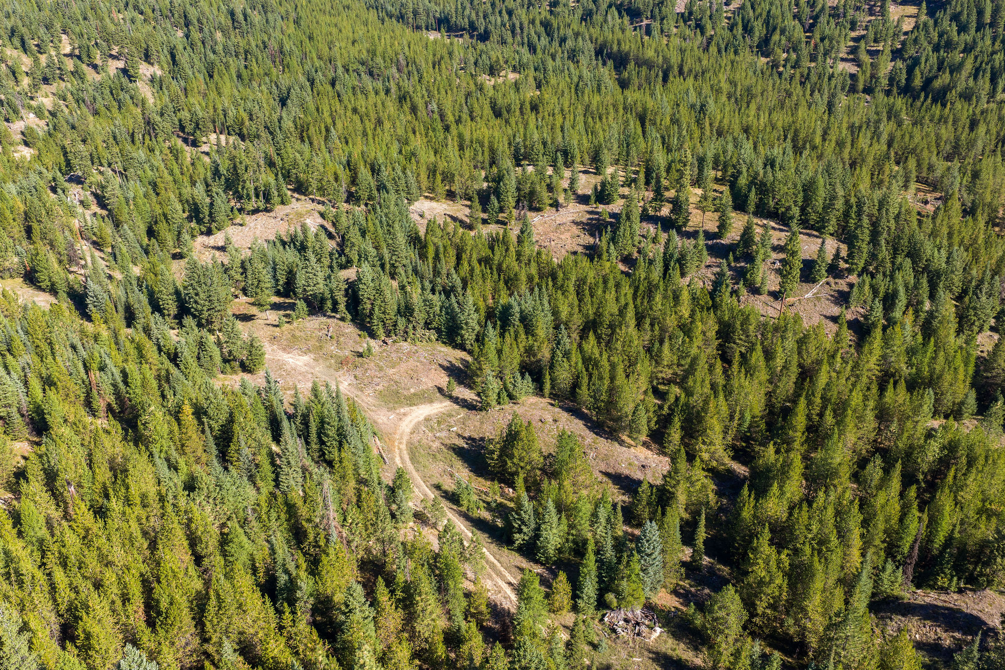 Nhn Whitney Lake Road Property Photo 15